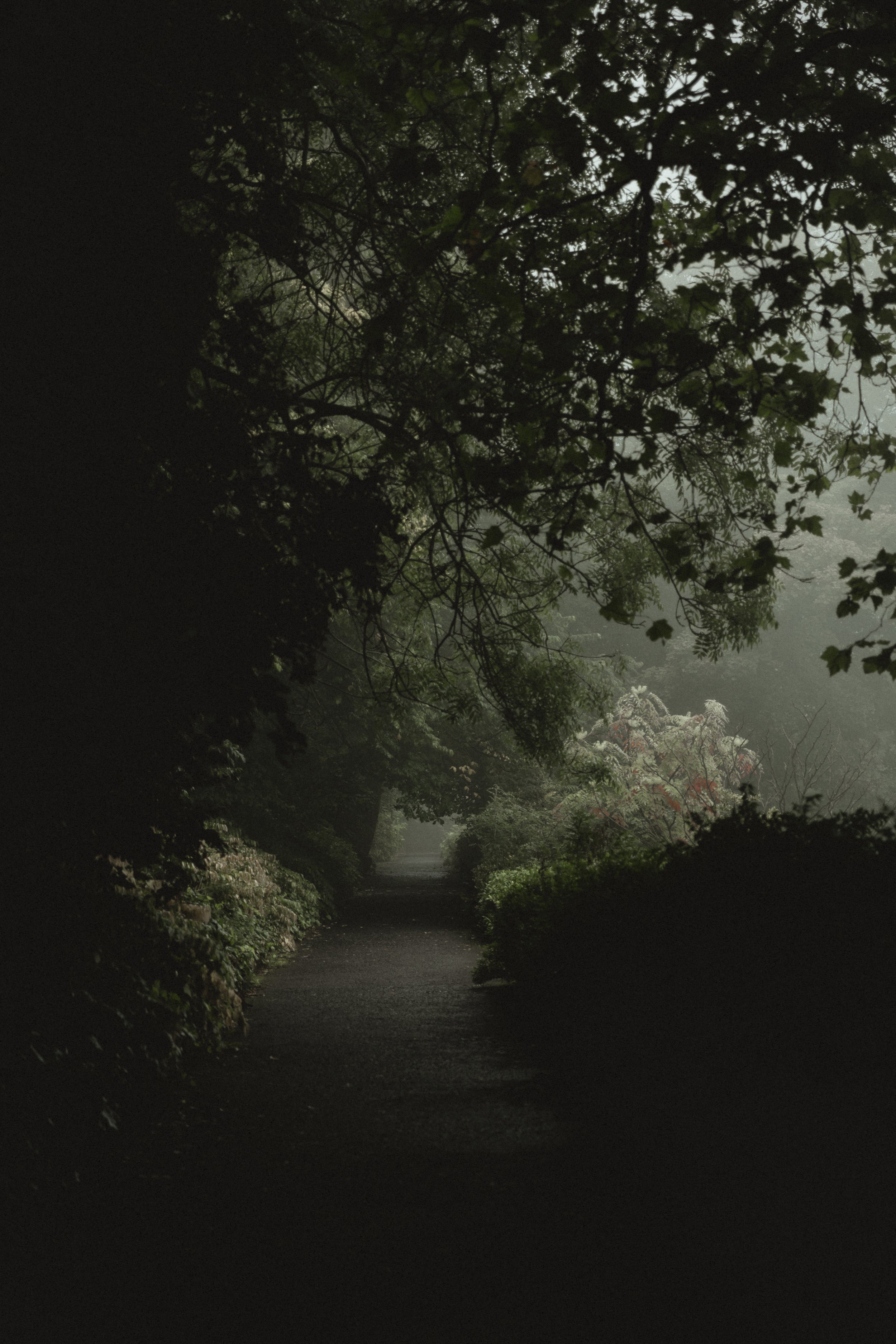 foggyedinburgh-0364.jpg