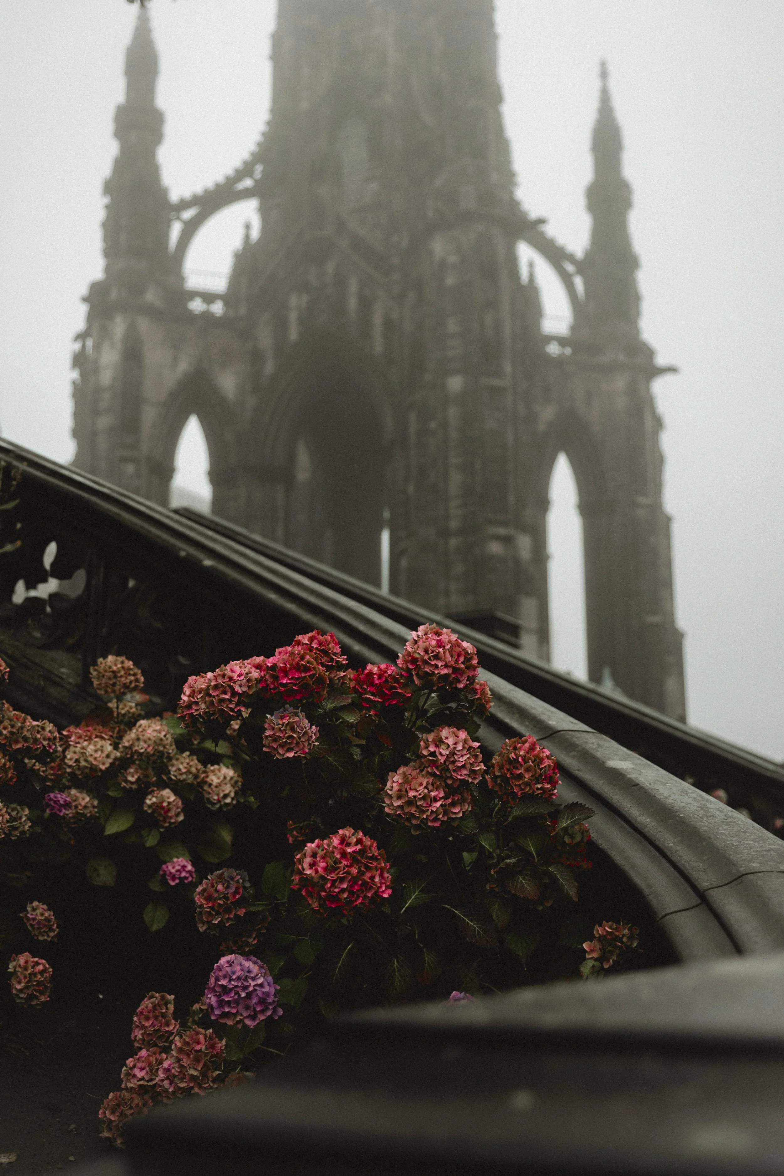 foggyedinburgh-0379.jpg