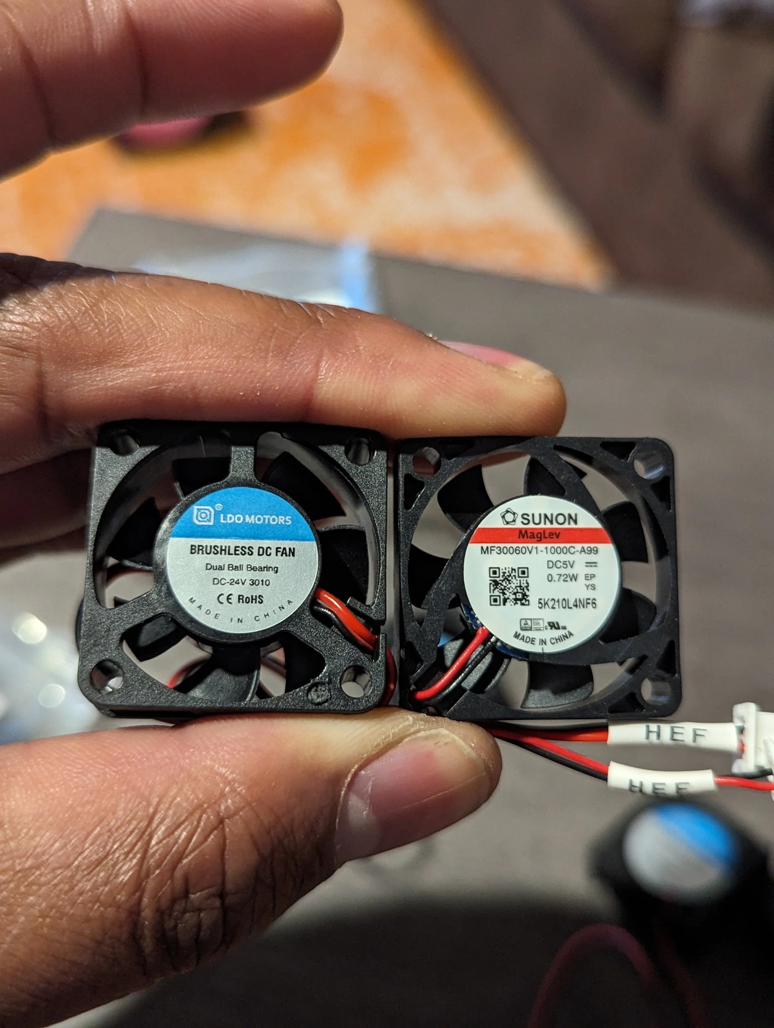 PXL_20240131_021030601.PORTRAIT.ORIGINAL.jpg