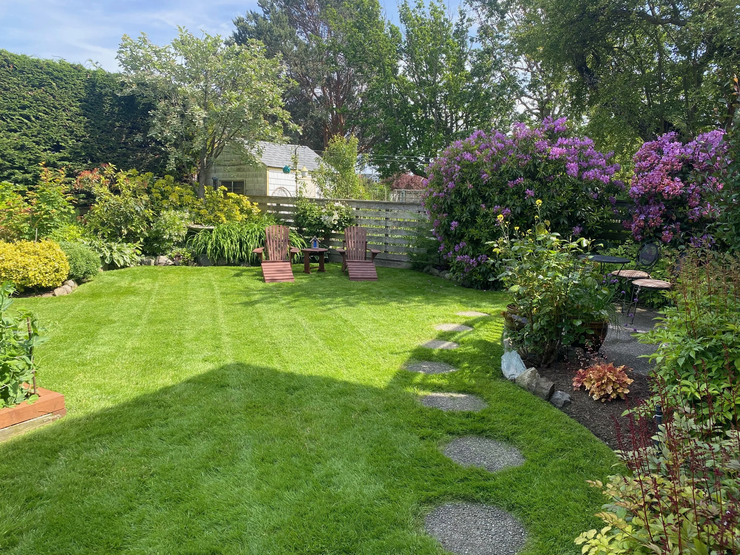 A lush green backyard with a well-maintained lawn, two wooden Adirondack chairs with a small table between them, a curved stepping stone path, and various colorful flowering bushes and trees, with a wooden fence and a shed in the background under a partly cloudy sky.