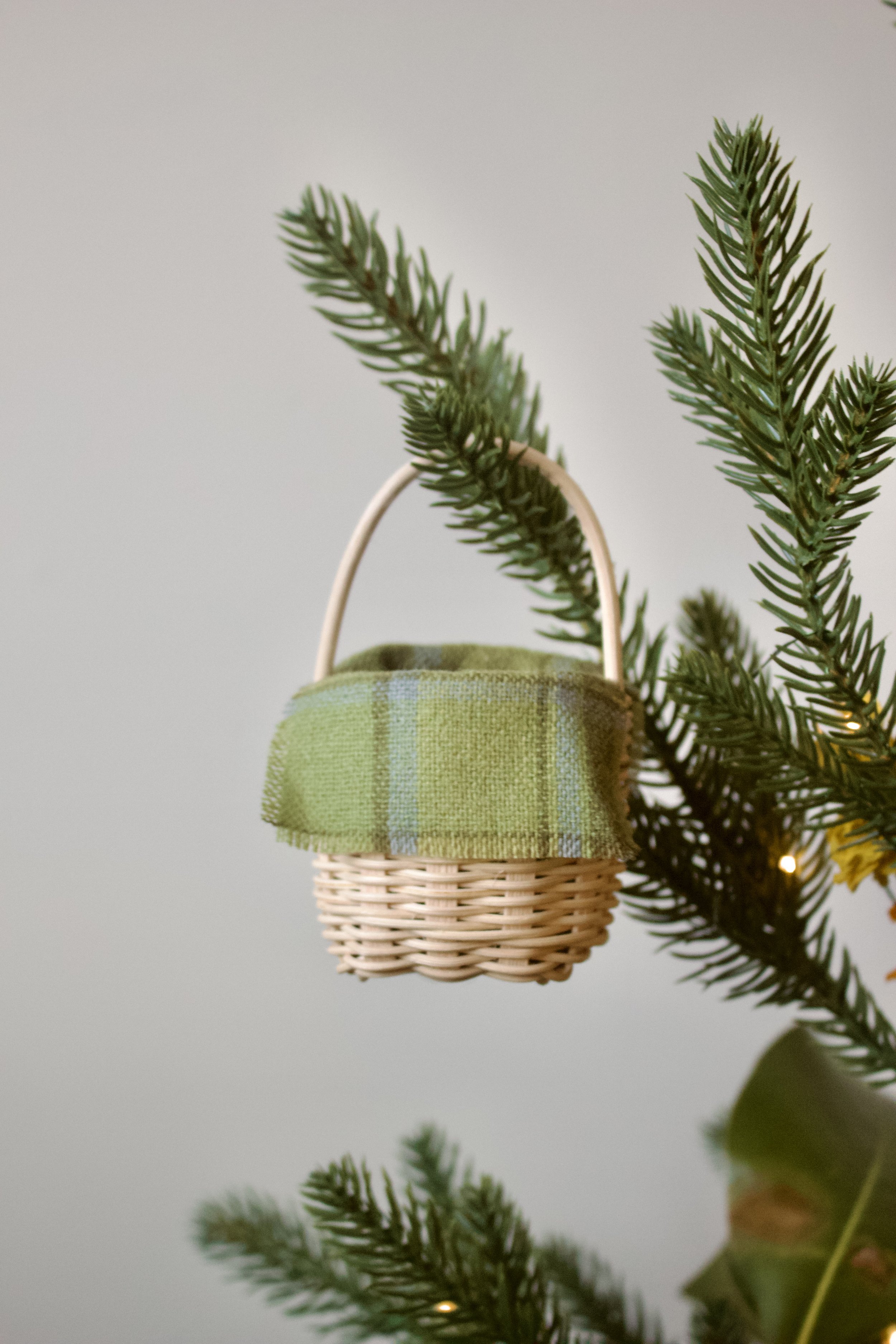 Mini Basket #20
