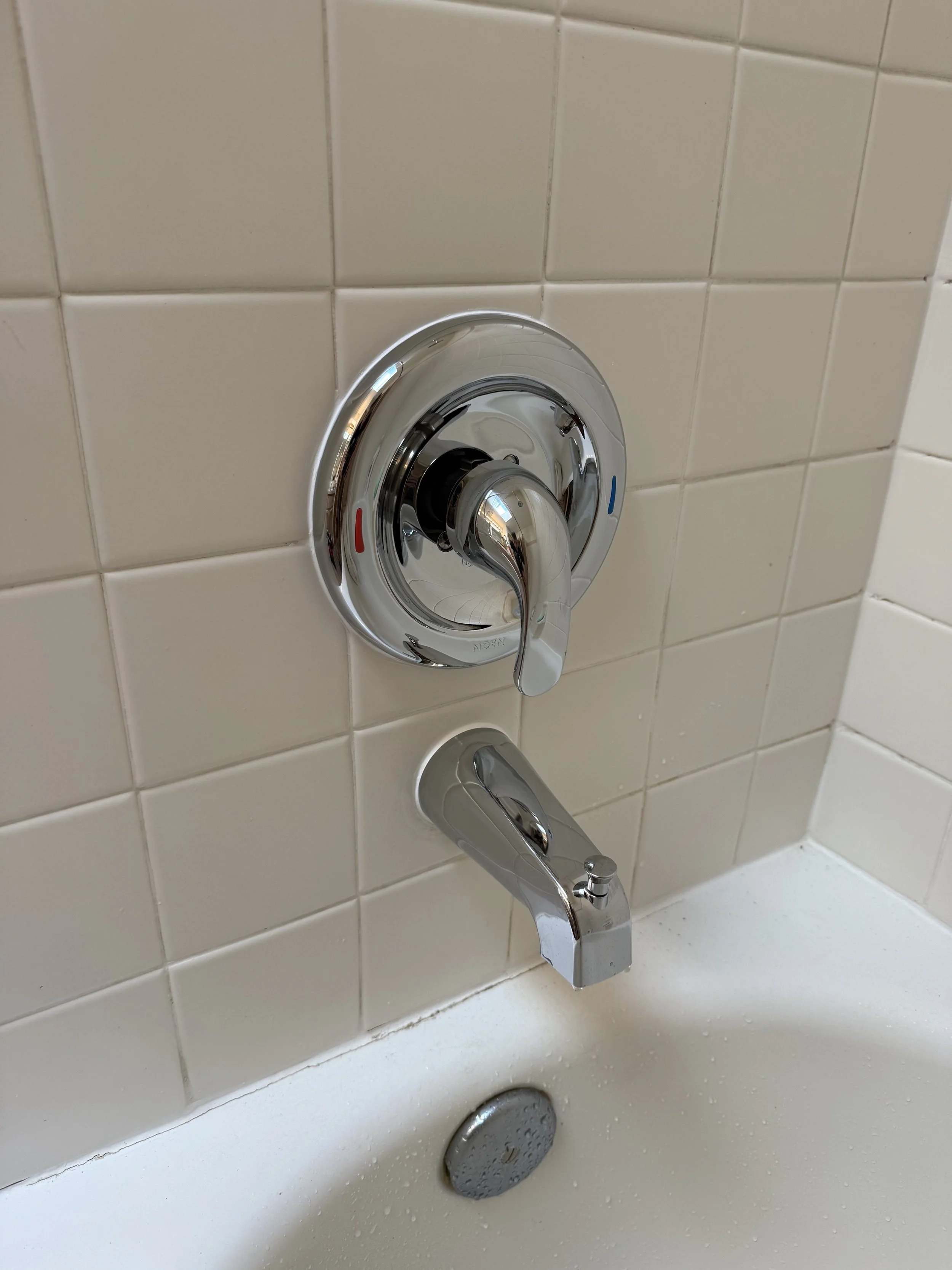 Shower Trim Kit installed