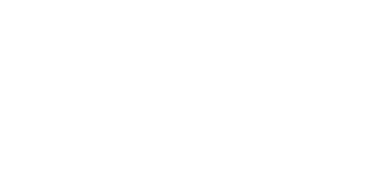 Audio Capture with Video