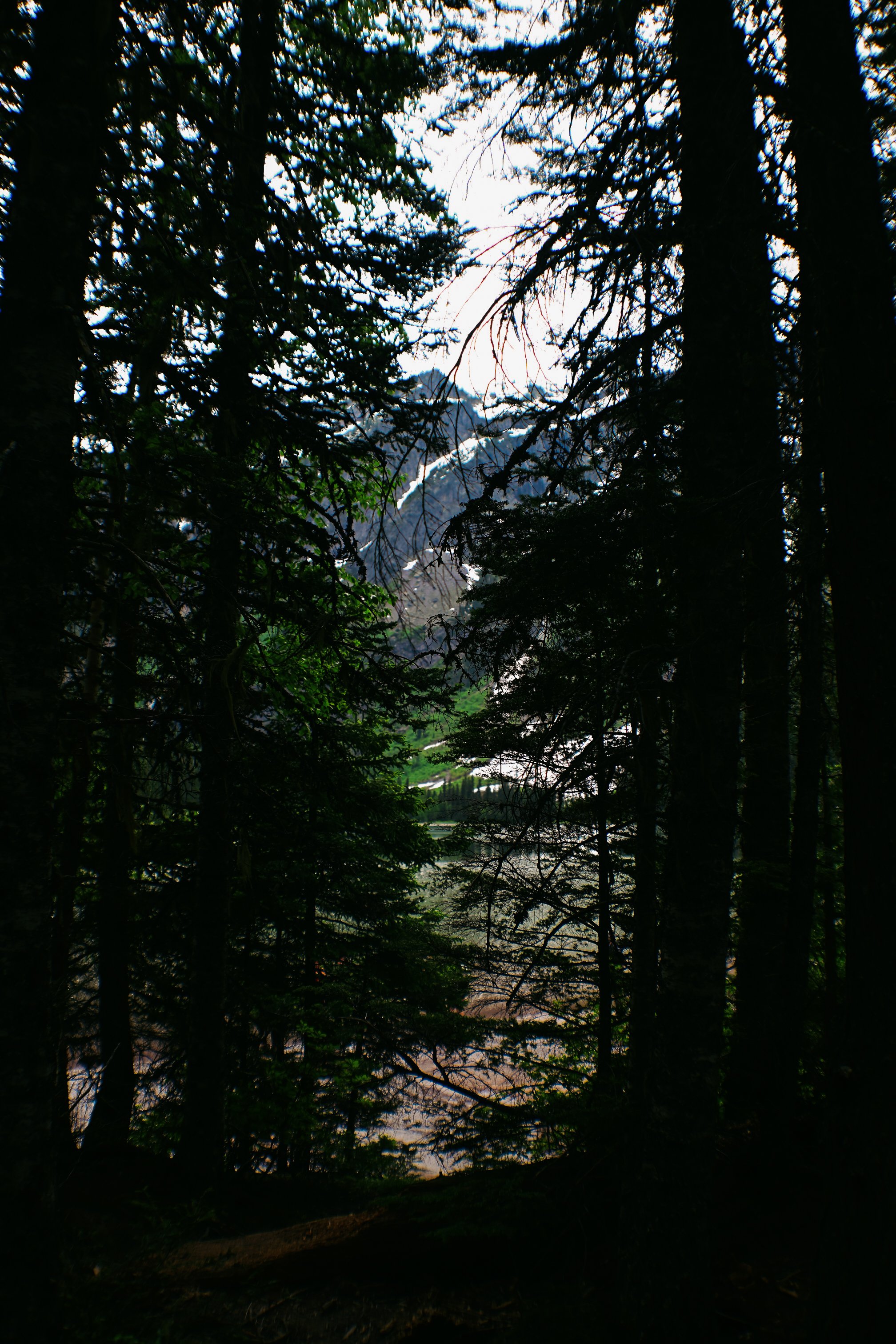 MONTANA RECHARGE-328.jpg