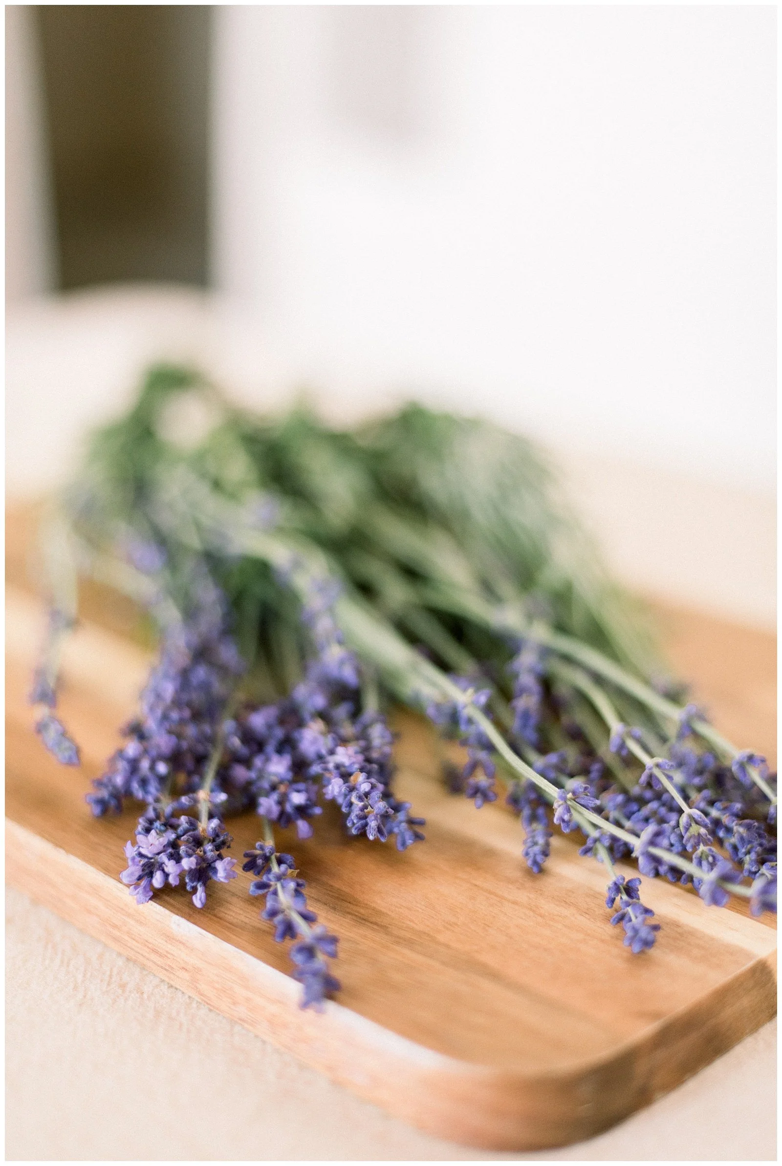 COMING SOON | Workshops