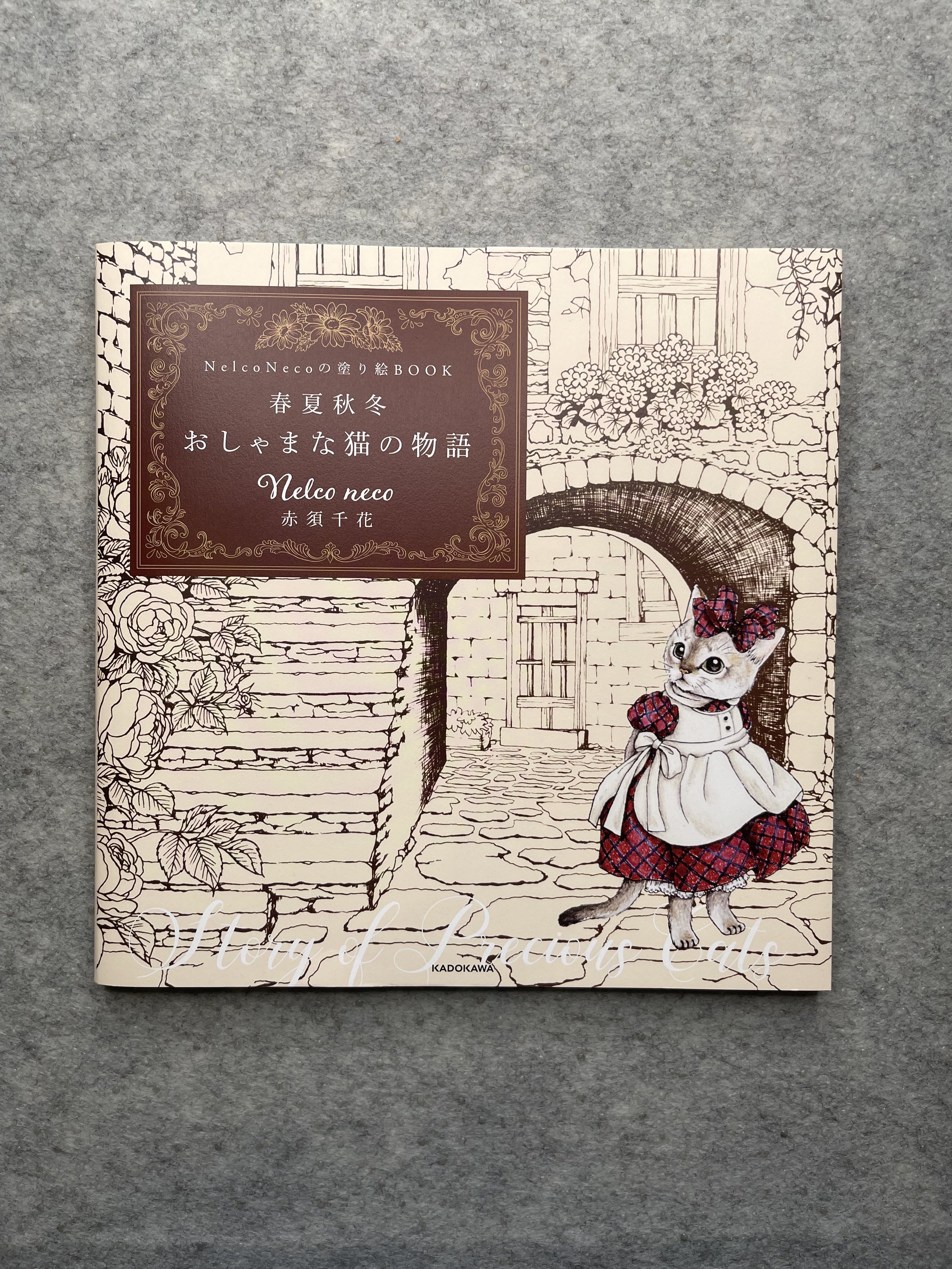 Story of Precious Cats