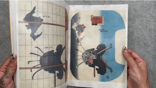 IMG_4934.gif