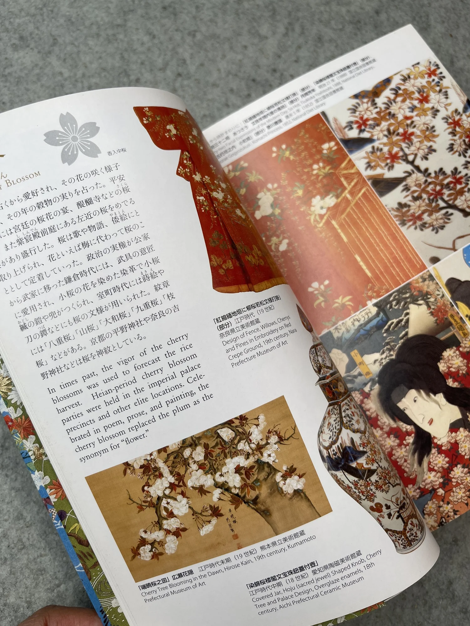 TRADITIONAL JAPANESE PATTERNS AND MOTIFS — Bakezori Books