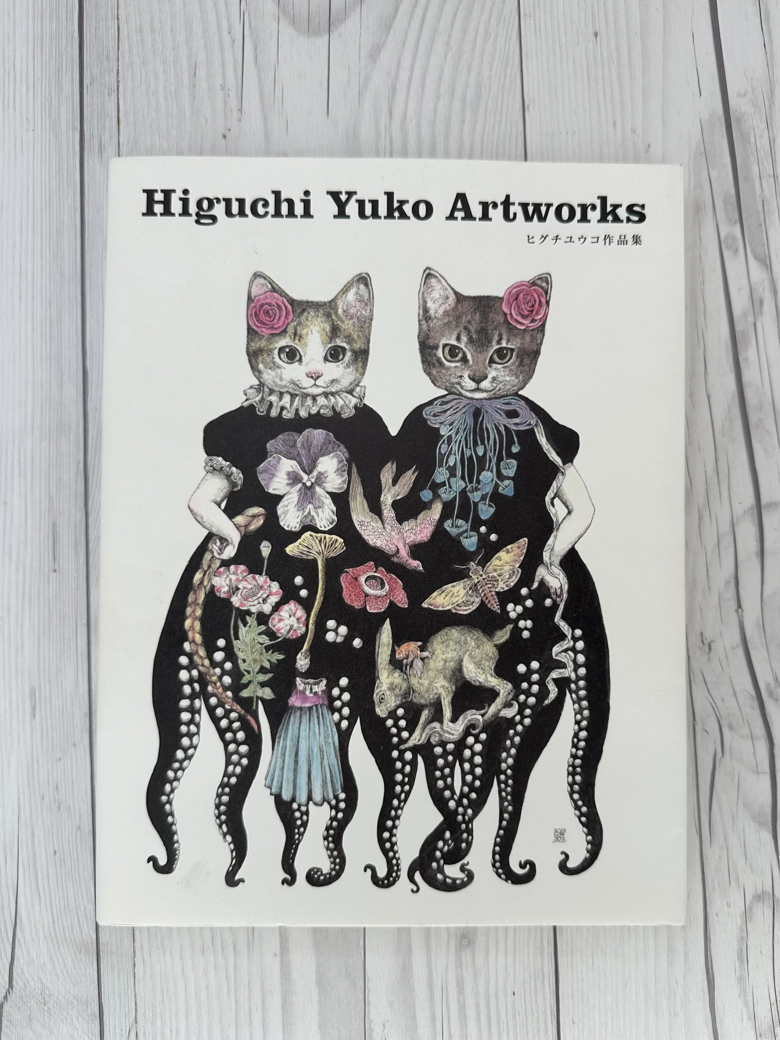 Higuchi Yuko Artworks
