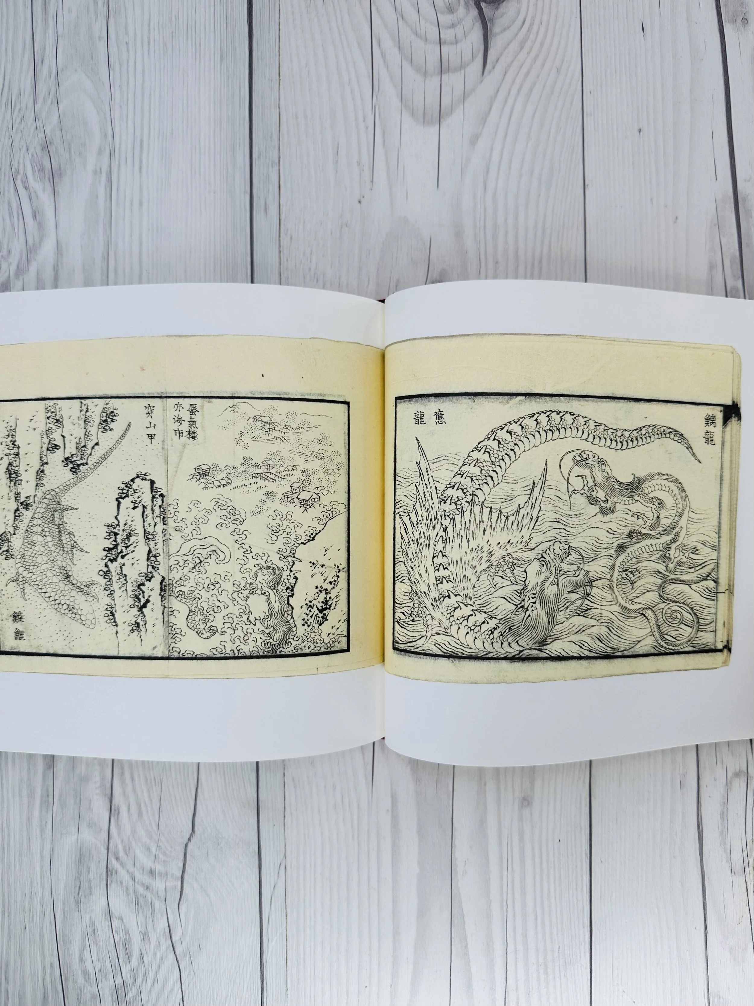 IMG_9074.jpeg