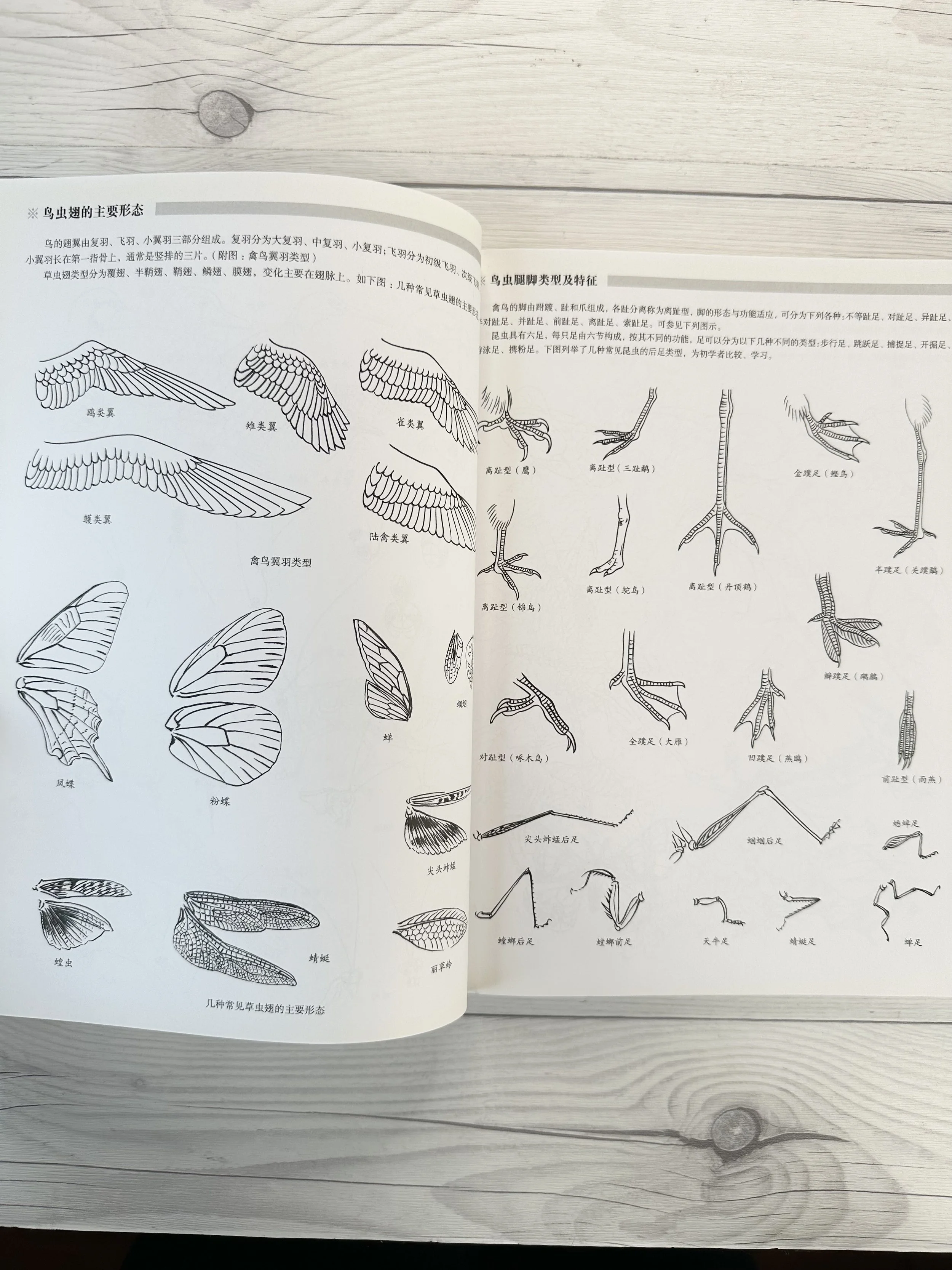 IMG_5078.jpeg (Copy)