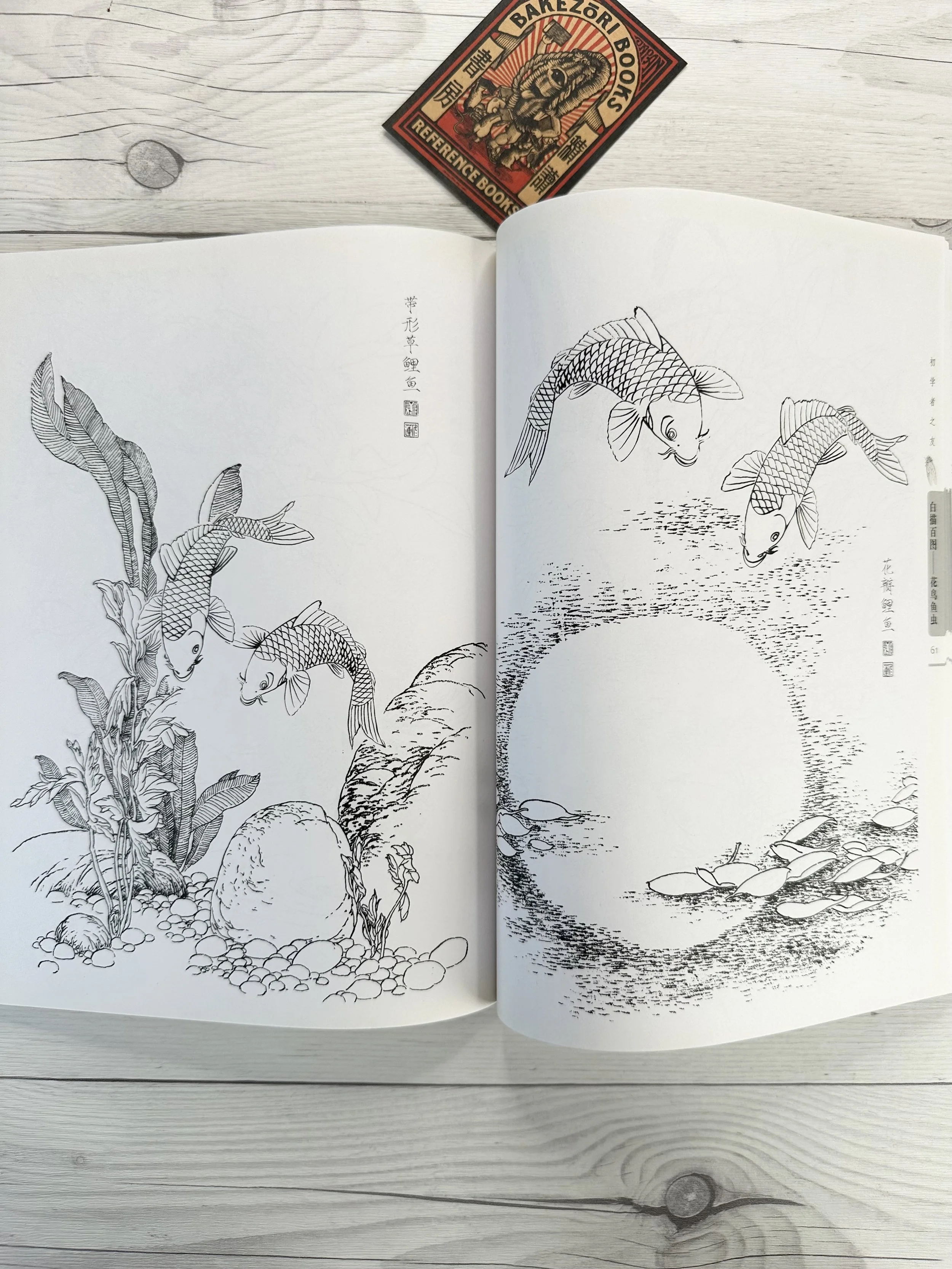 IMG_5084.jpeg (Copy)