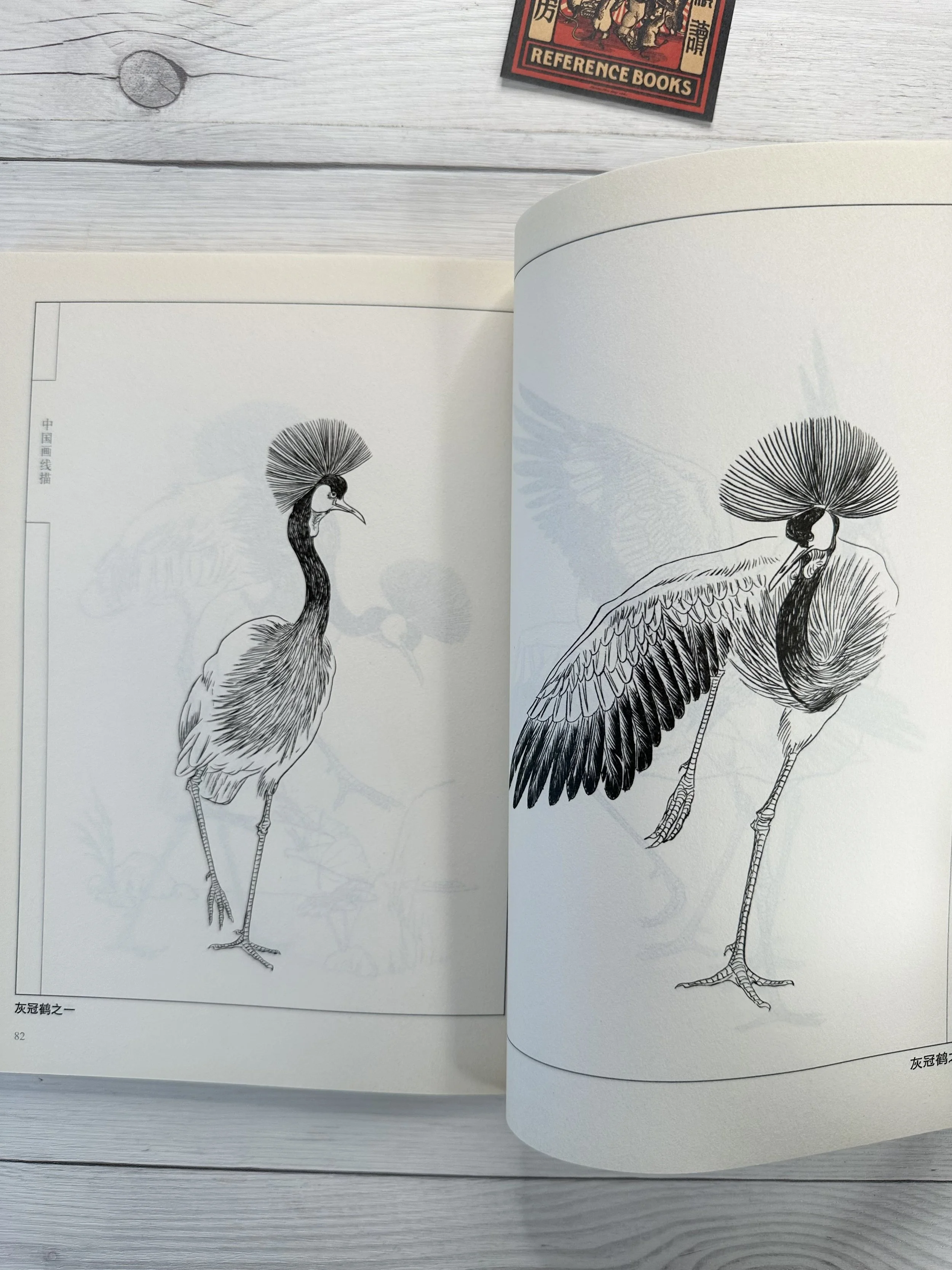 IMG_5102.jpeg (Copy)