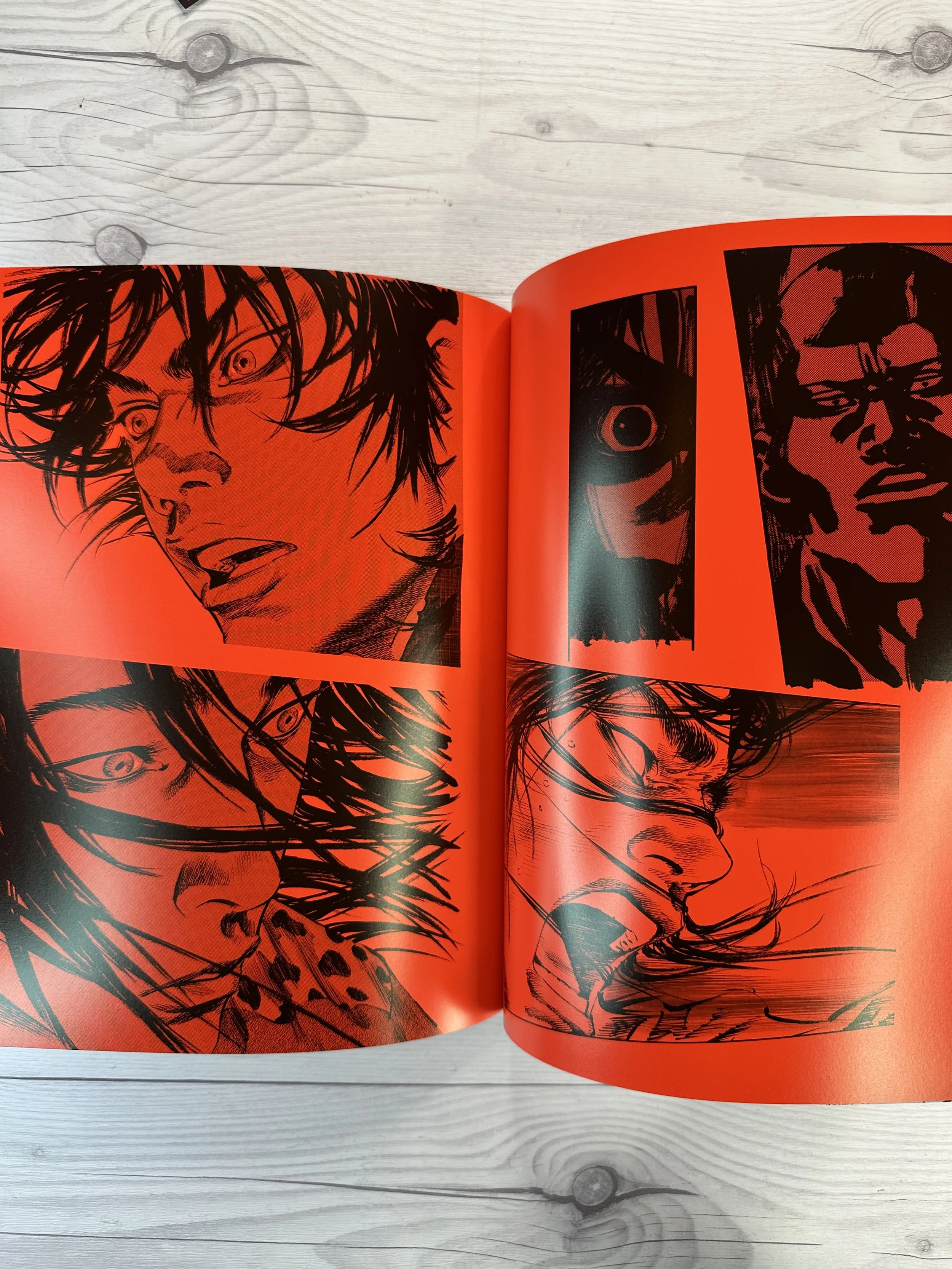 IMG_5056.jpeg (Copy)