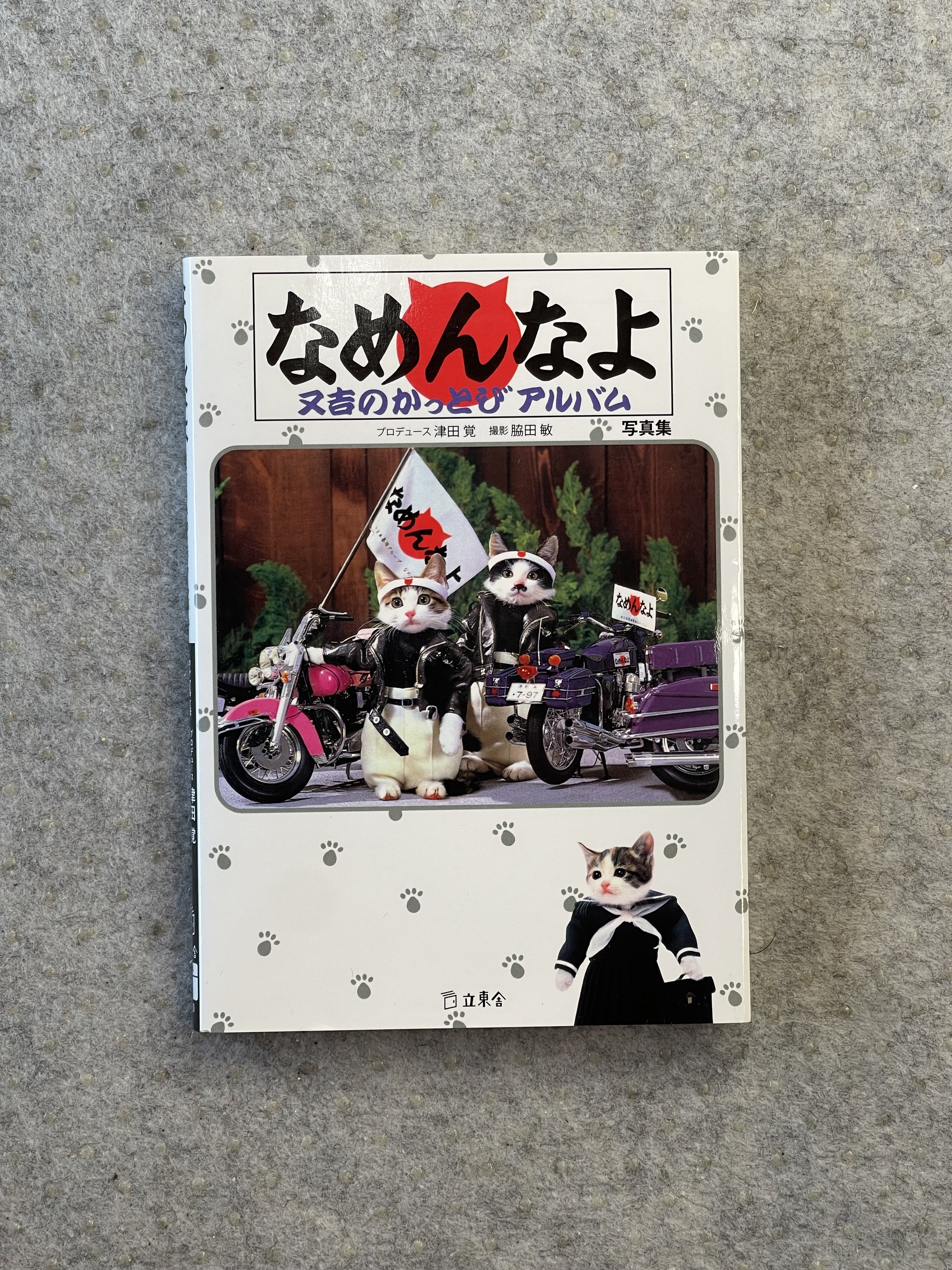 NAMENNAYO: Delinquent Cats