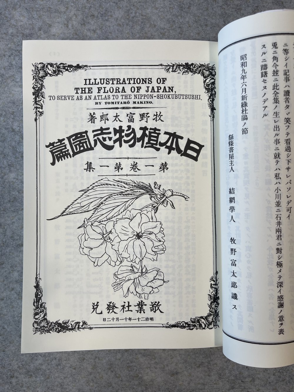 Illustrated Collection of Japanese Plants by Makino Tomitaro