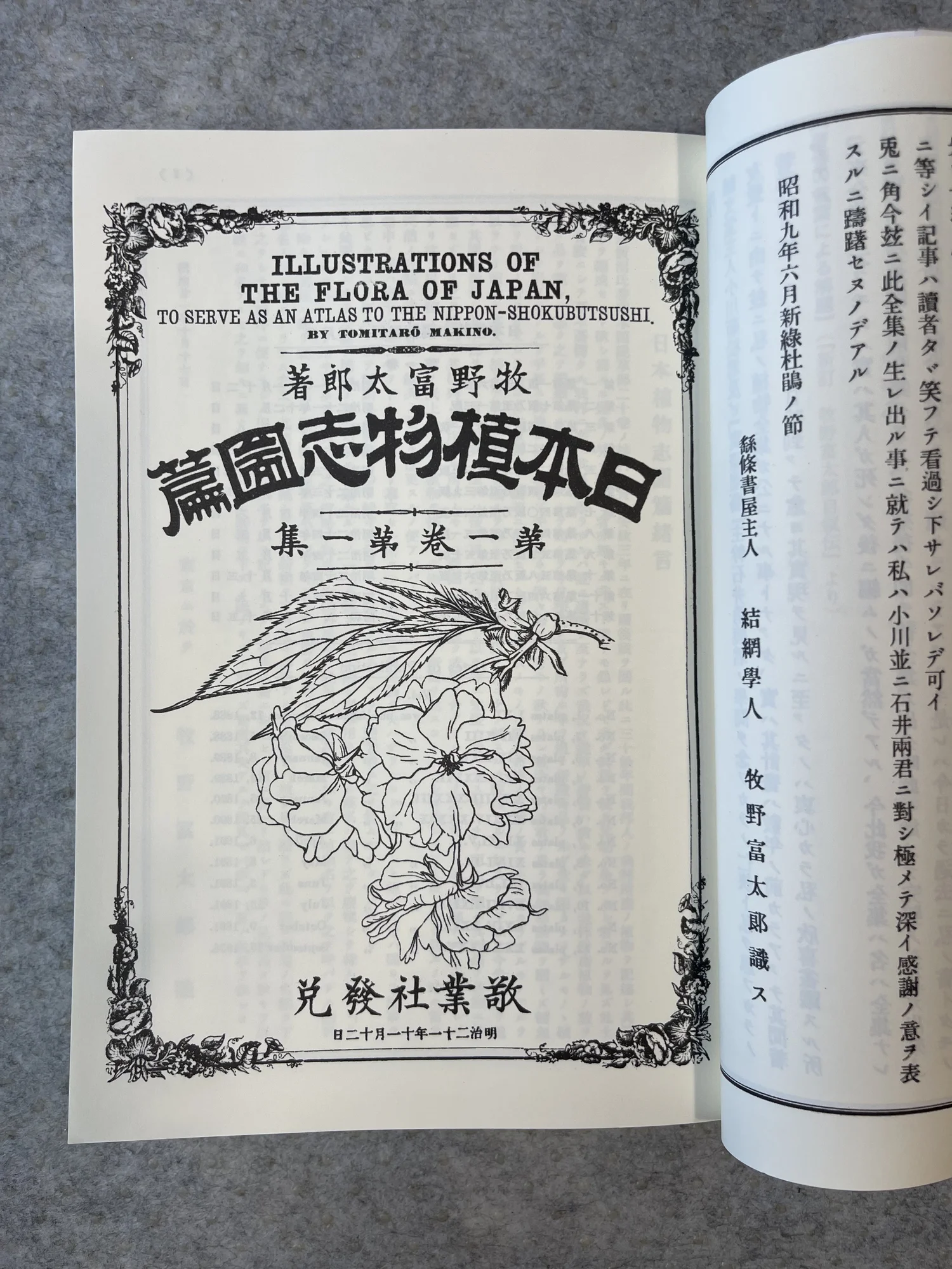 アート・デザイン・音楽 MAKINO'S ILLUSTRATED FLORA IN COLOUR IMG_2926.jpeg