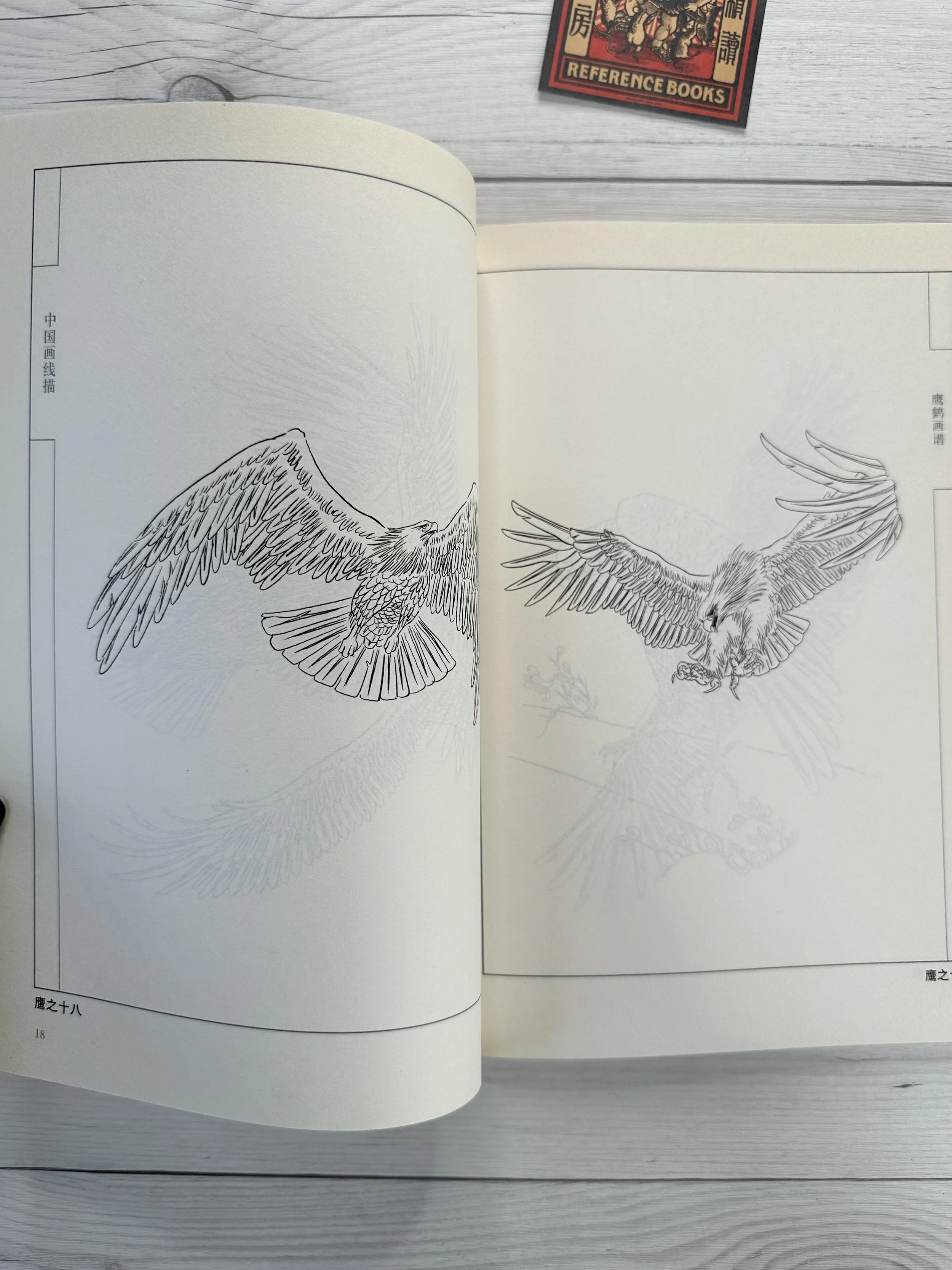 IMG_5099.jpeg (Copy)