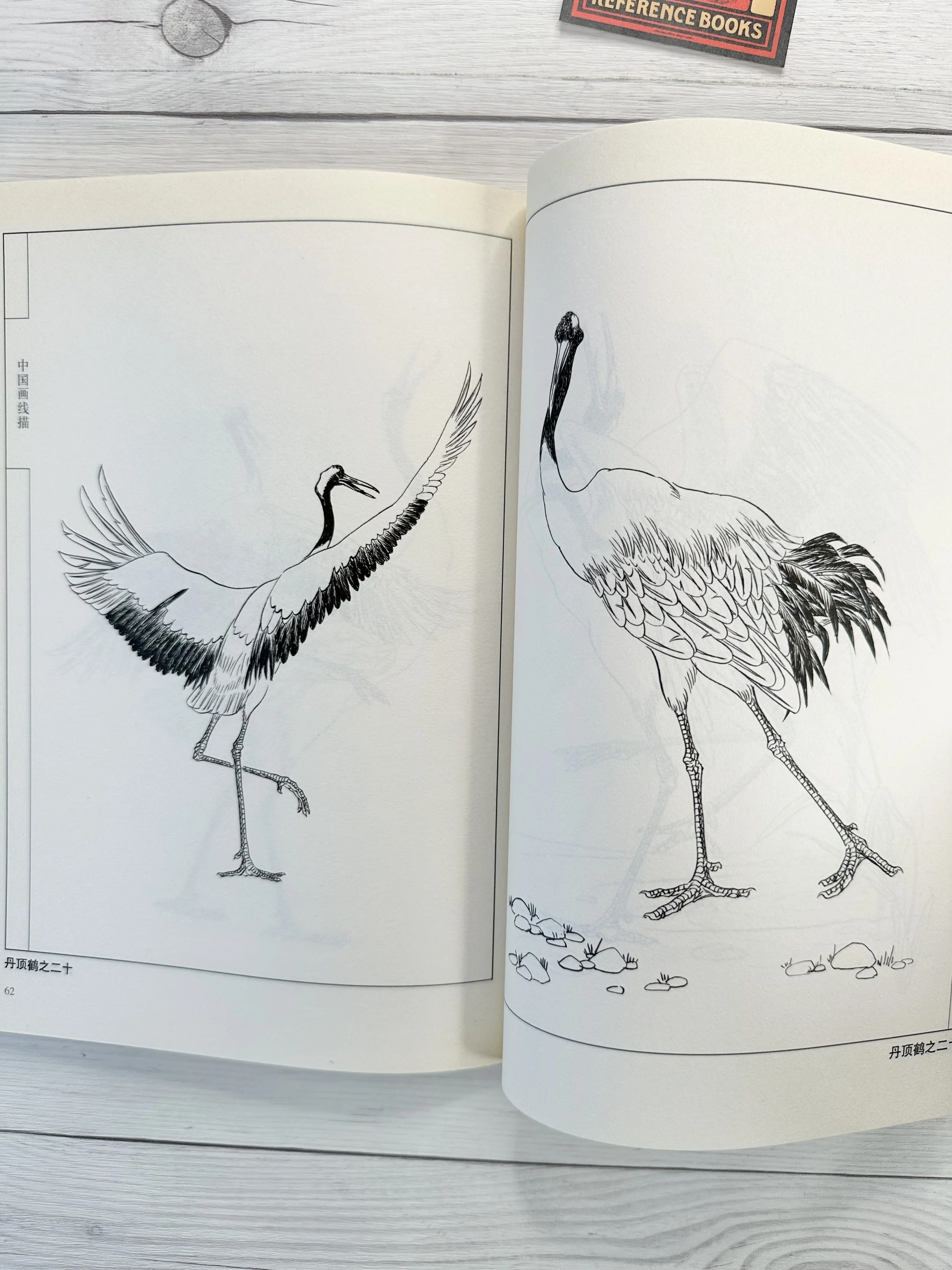 IMG_5104.jpeg (Copy)