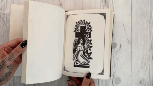 IMG_2858.gif