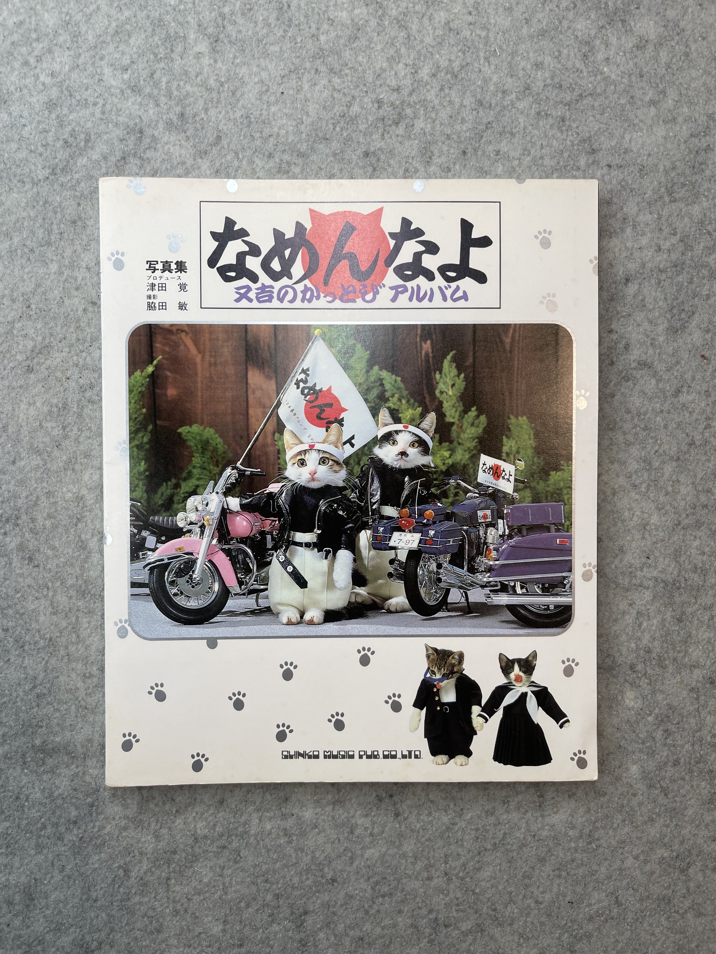 NAMENNAYO: Delinquent Kittens