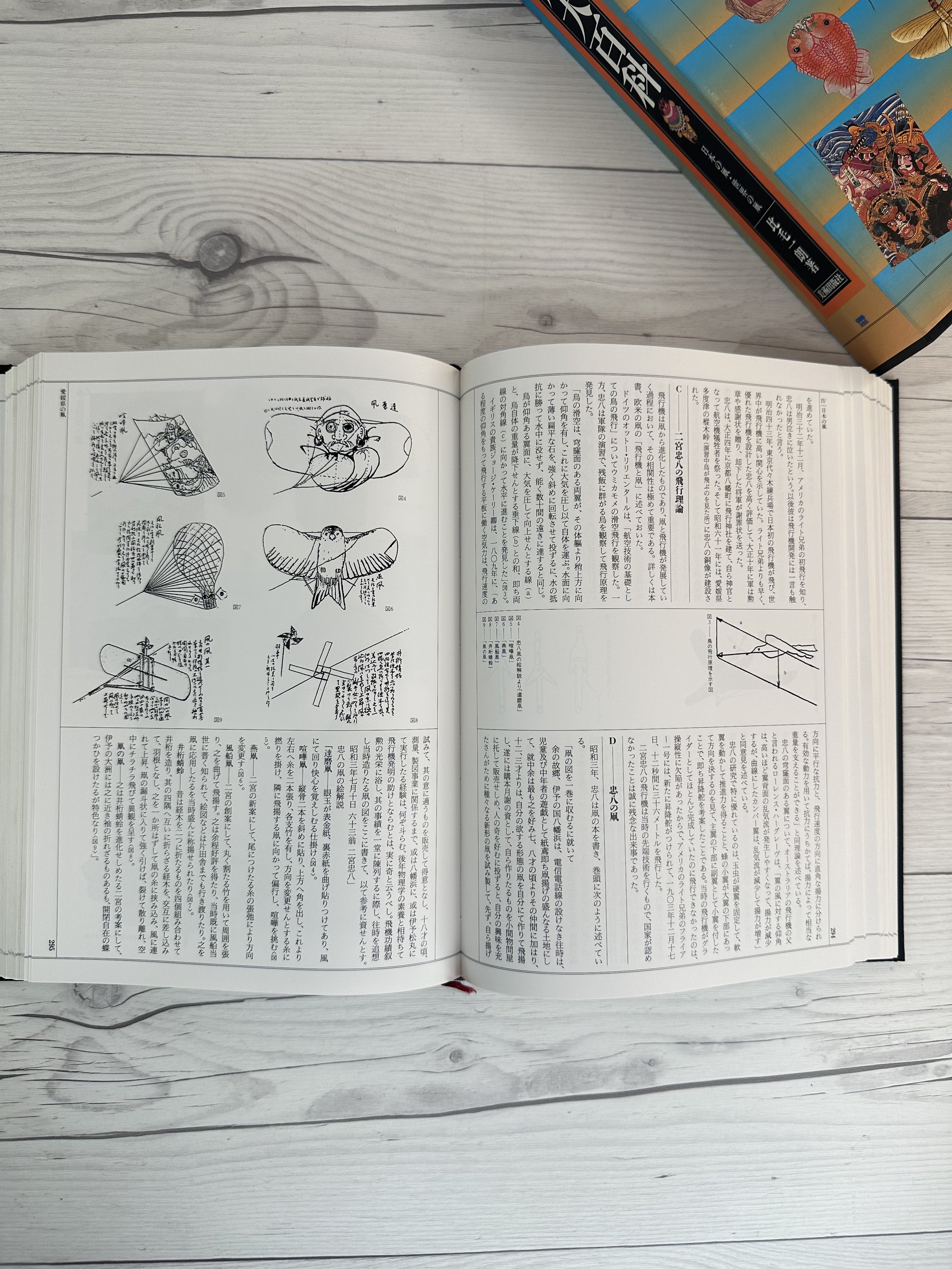 IMG_0253.jpeg