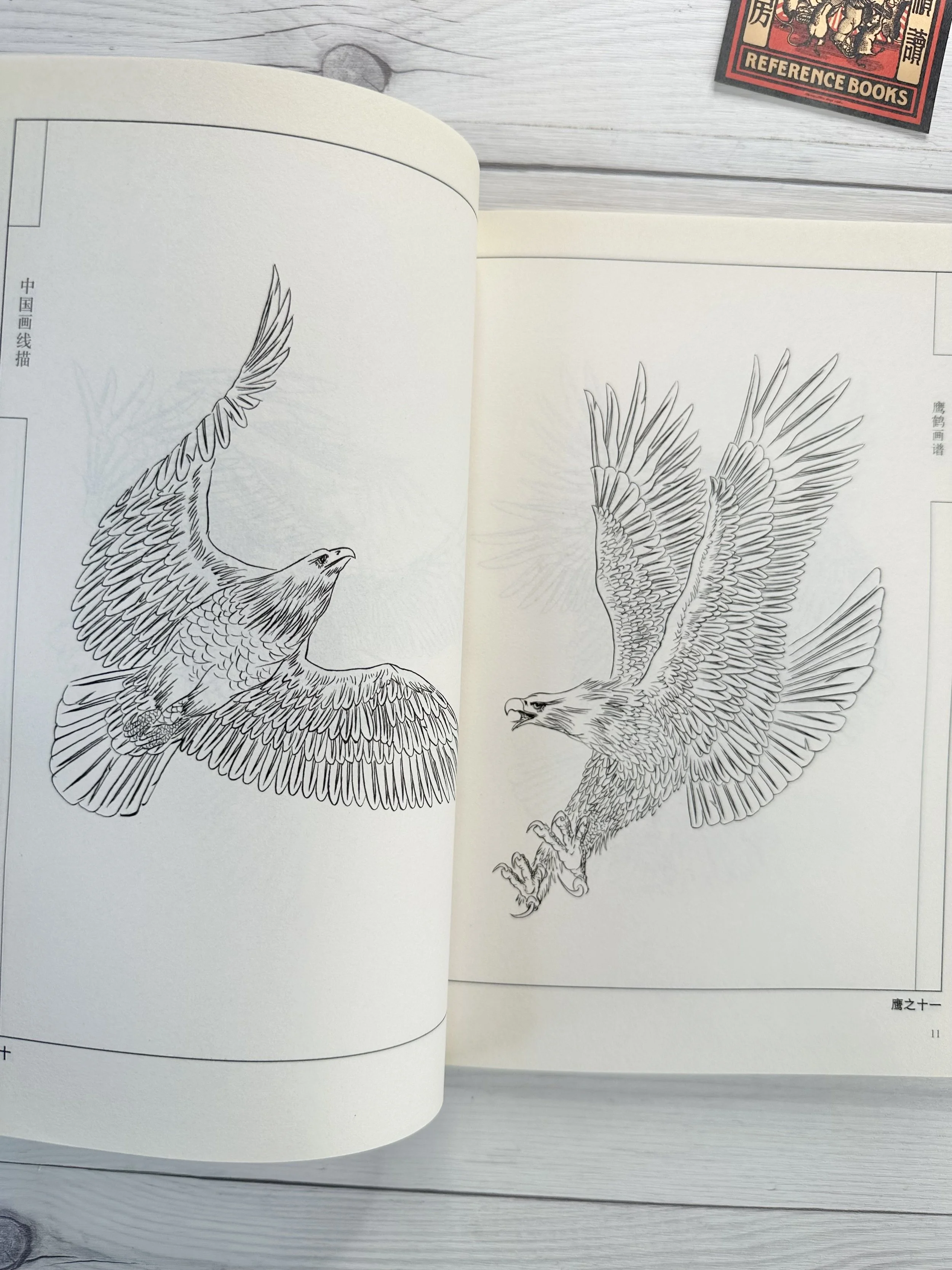 IMG_5101.jpeg (Copy)