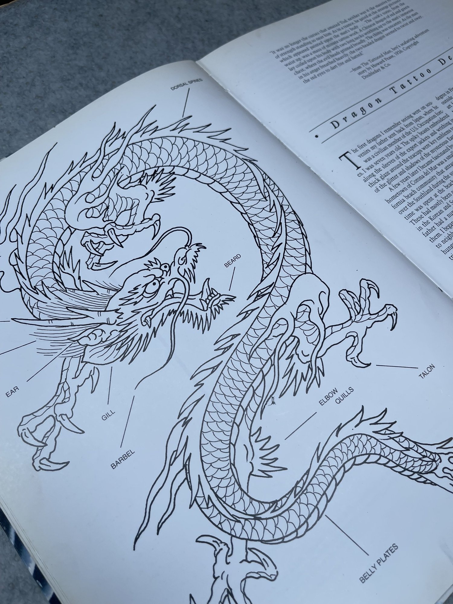 Dragon Tattoo Design by D.E. Hardy (First Edition) — Bakezori Books