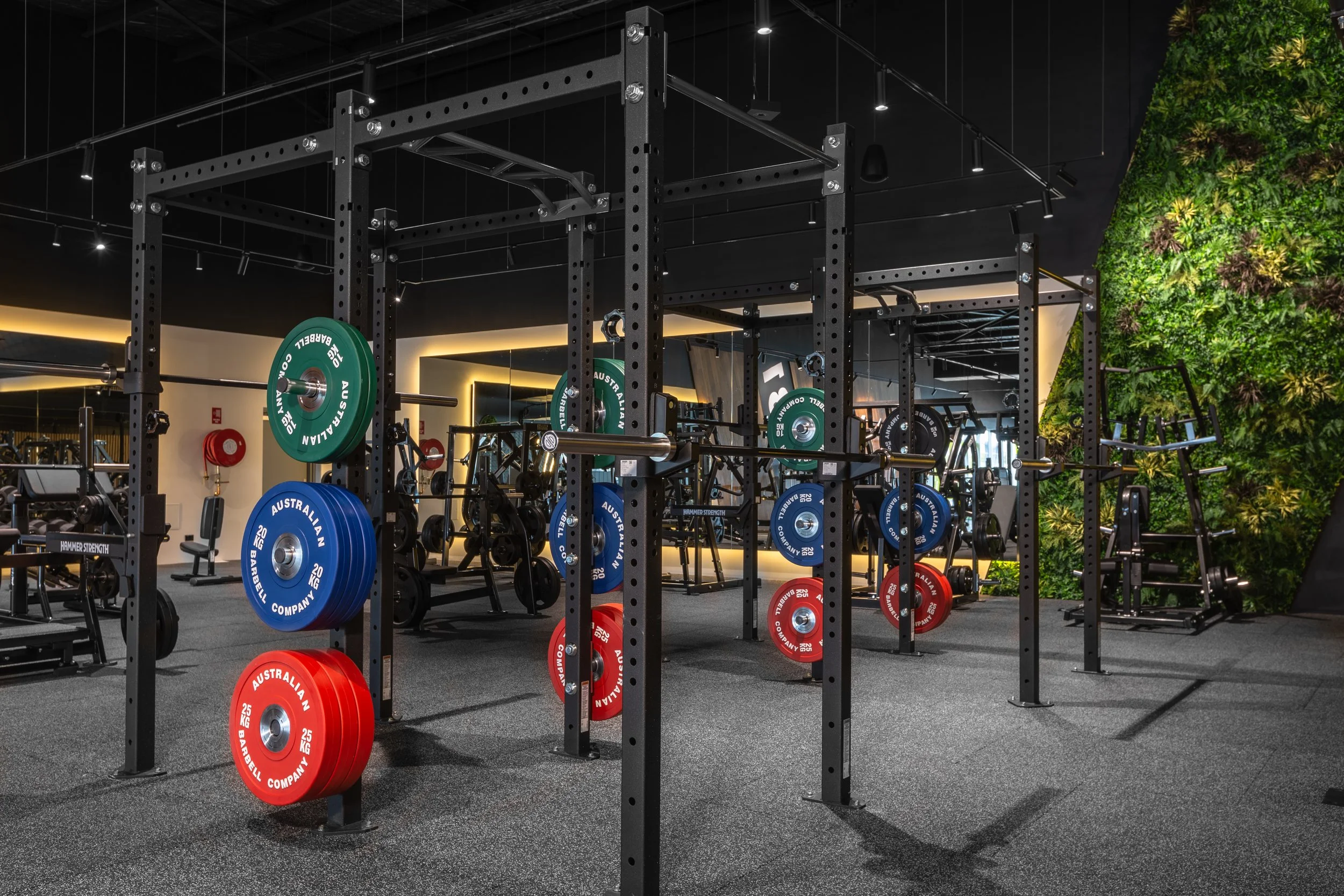 Your Premium Gym In Western Sydney Rileys Gym