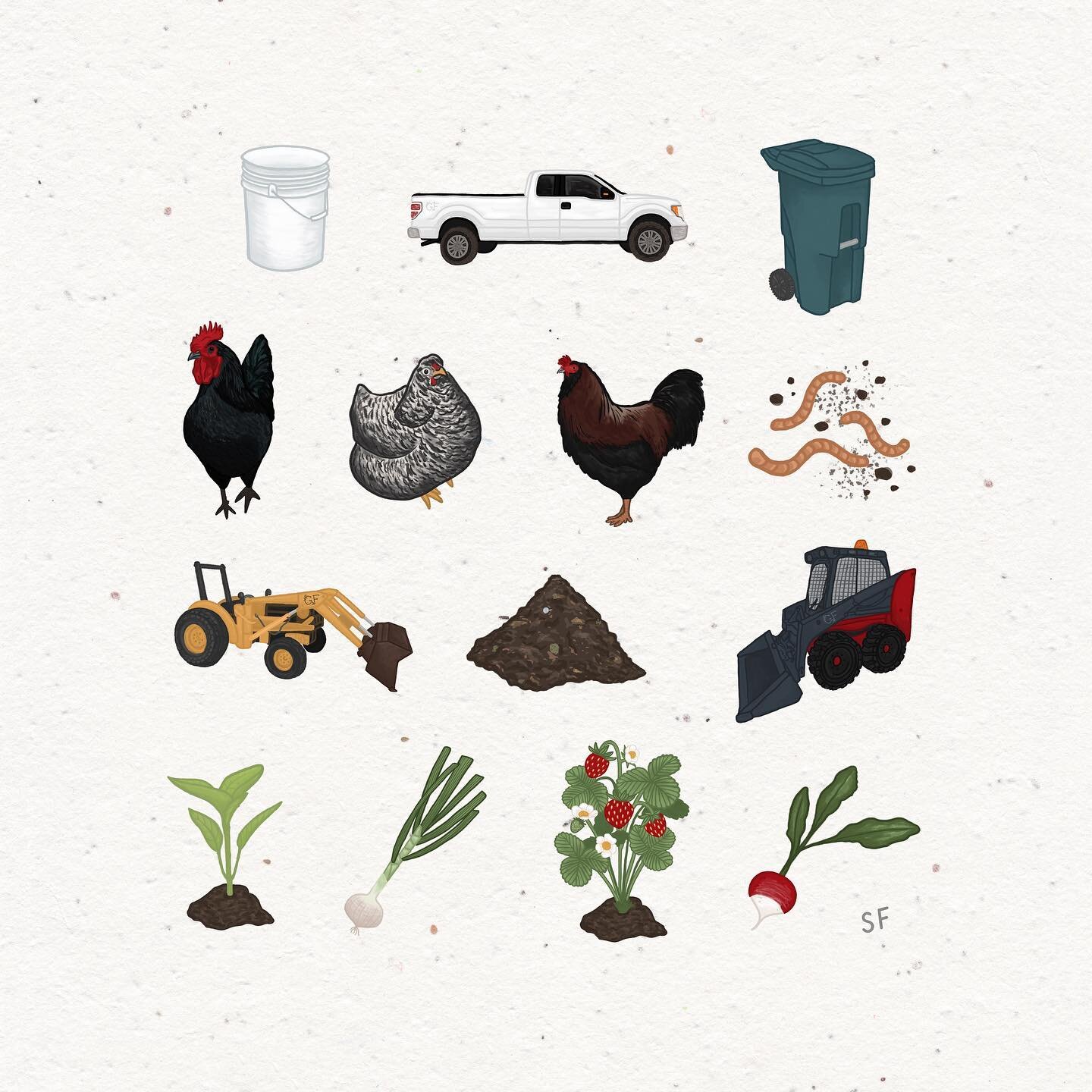 Who knew drawing dirt would be so fun?! Here is a closer look (swipe) at the illustrations for the @greenerfarmsyqg rebrand! The strawberries might be my favourite.

This weekend I am working on my tiny veggie garden and seeing which of the tiny plan