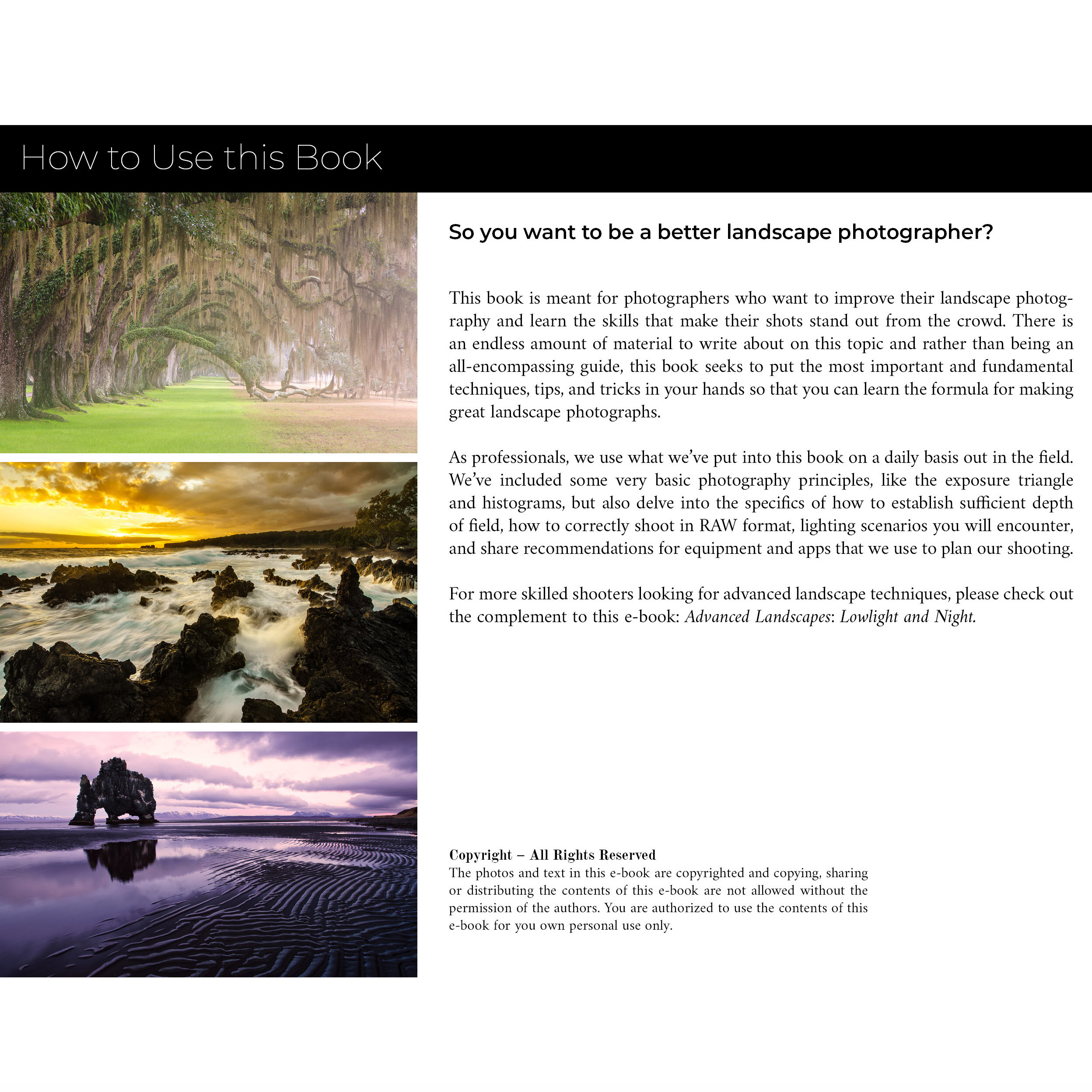 Landscapes Ebook How To Use Squared.jpg