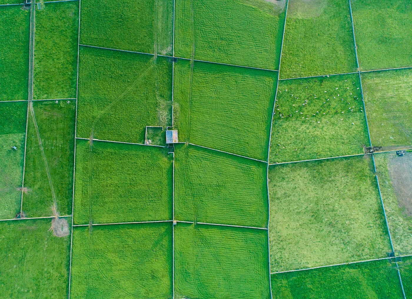 Patchwork.jpg