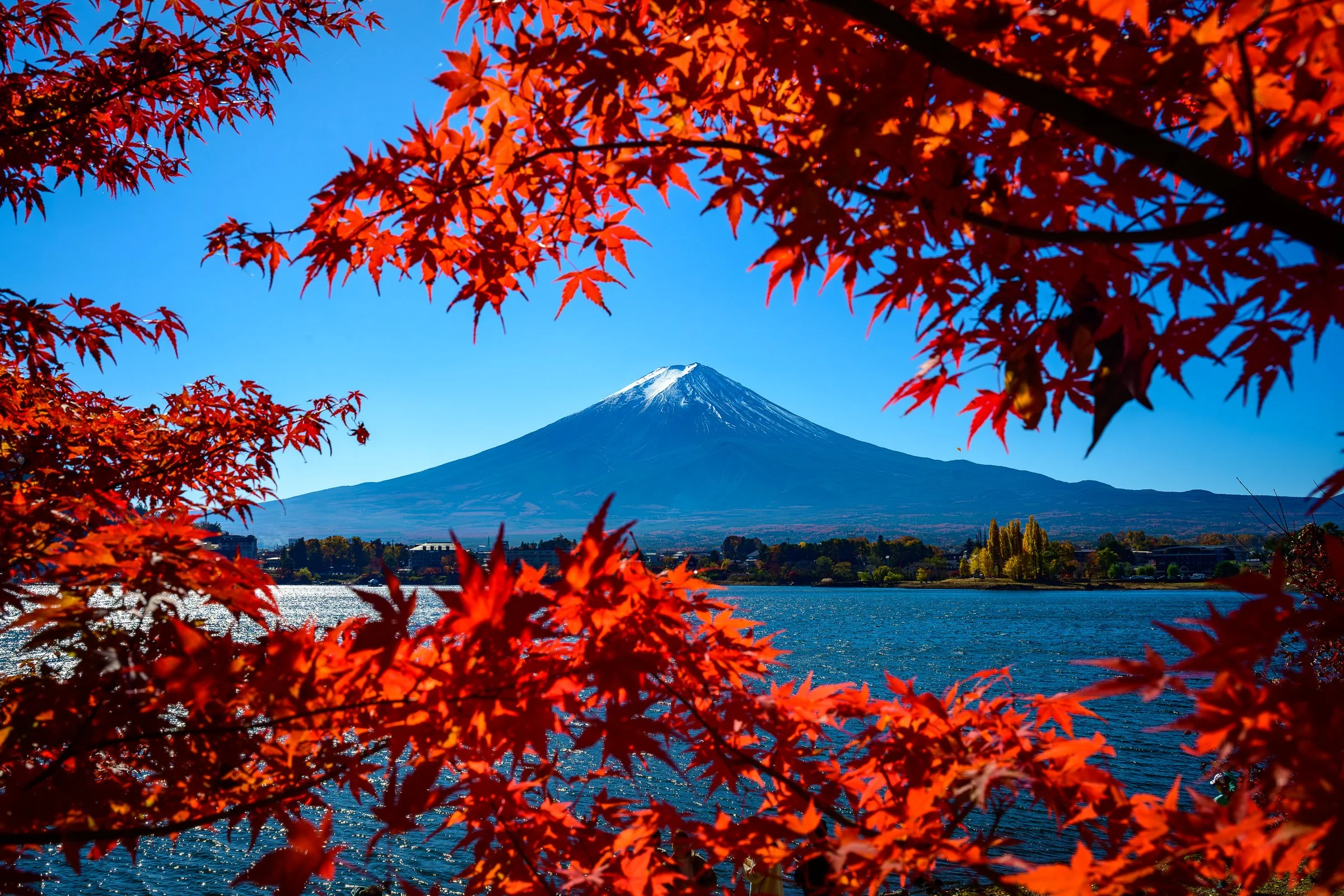 Fall at Mt Fuji-2.jpg