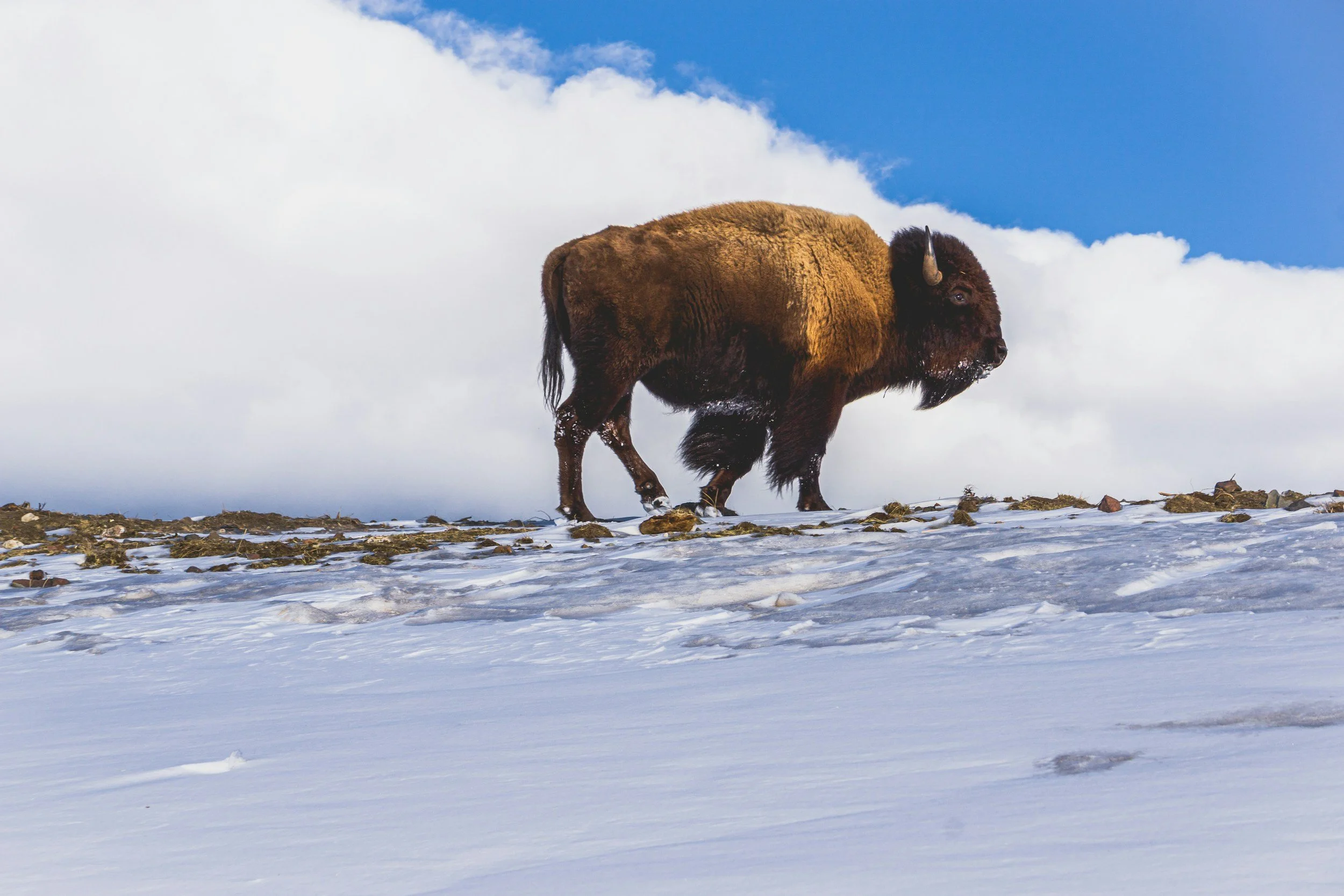 unsplash-image-Cz2mK1N9Hqk.jpg