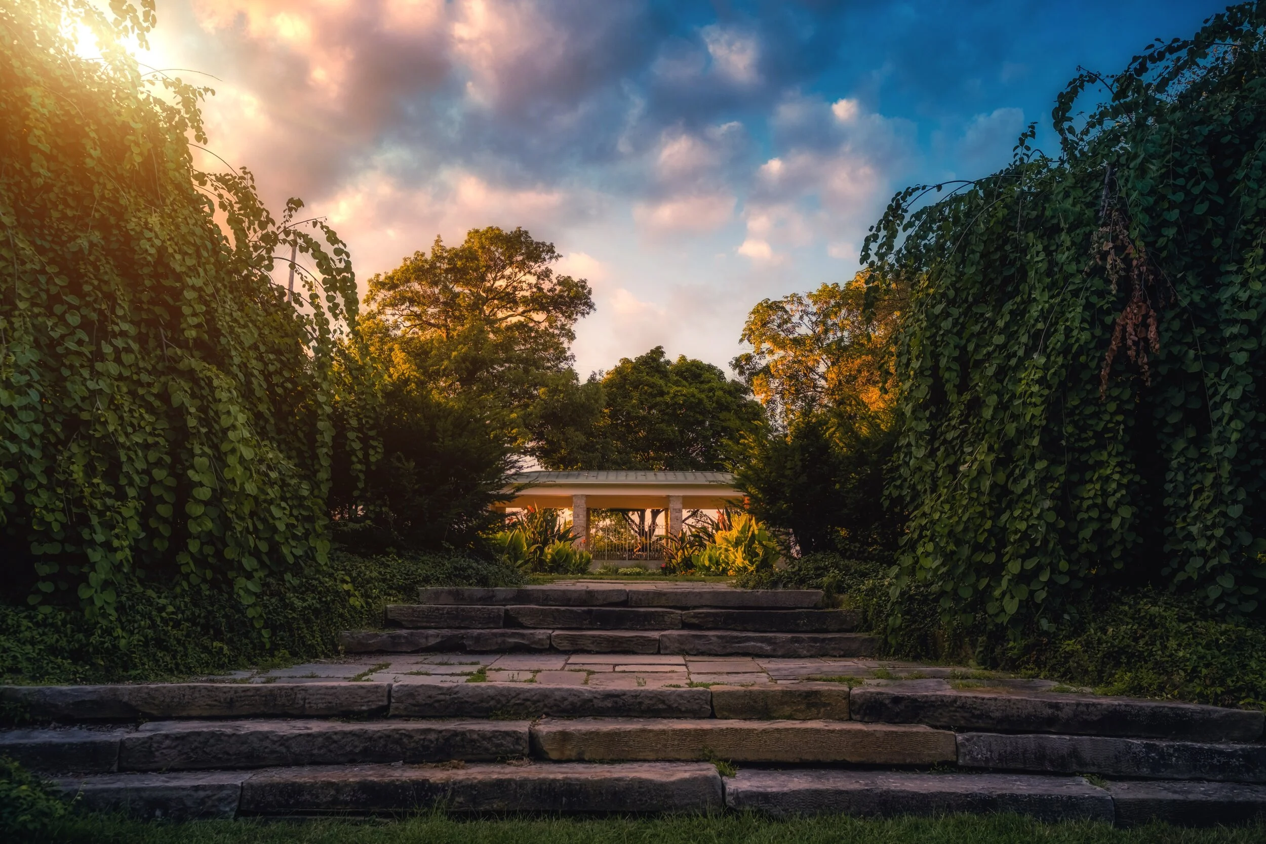 ‘Rosé All Day’ Wine Festival Coming to Lansing — Fresh Perspective
