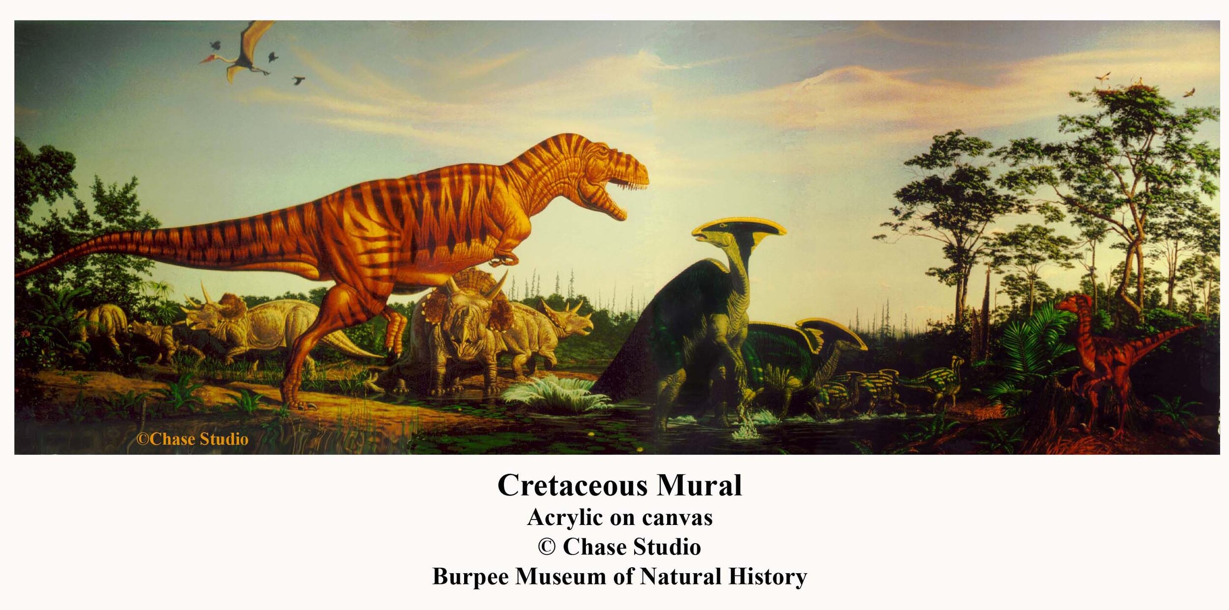 Cretaceous mural  copy.jpg
