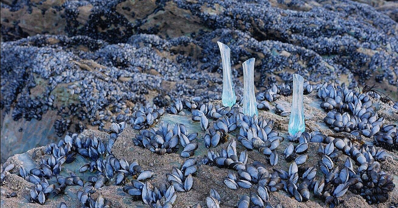 Shoreline tall glass sculptural vessels