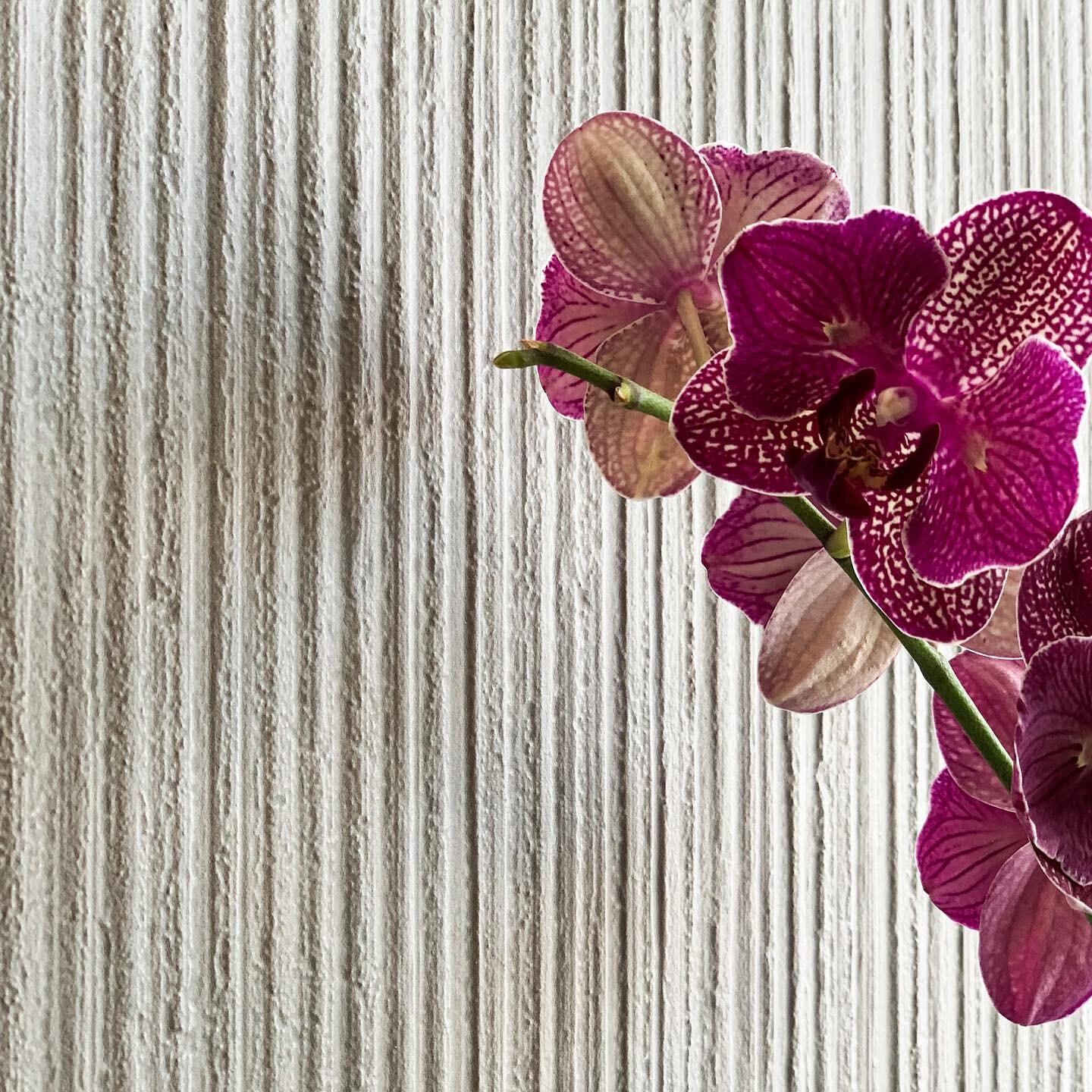 Summer vibes with Materika Spatula 3D Antracite @jrbotas @marazziceramiche #ceramics #tile #pattern #orchid #nature #wallcoverings #algarve