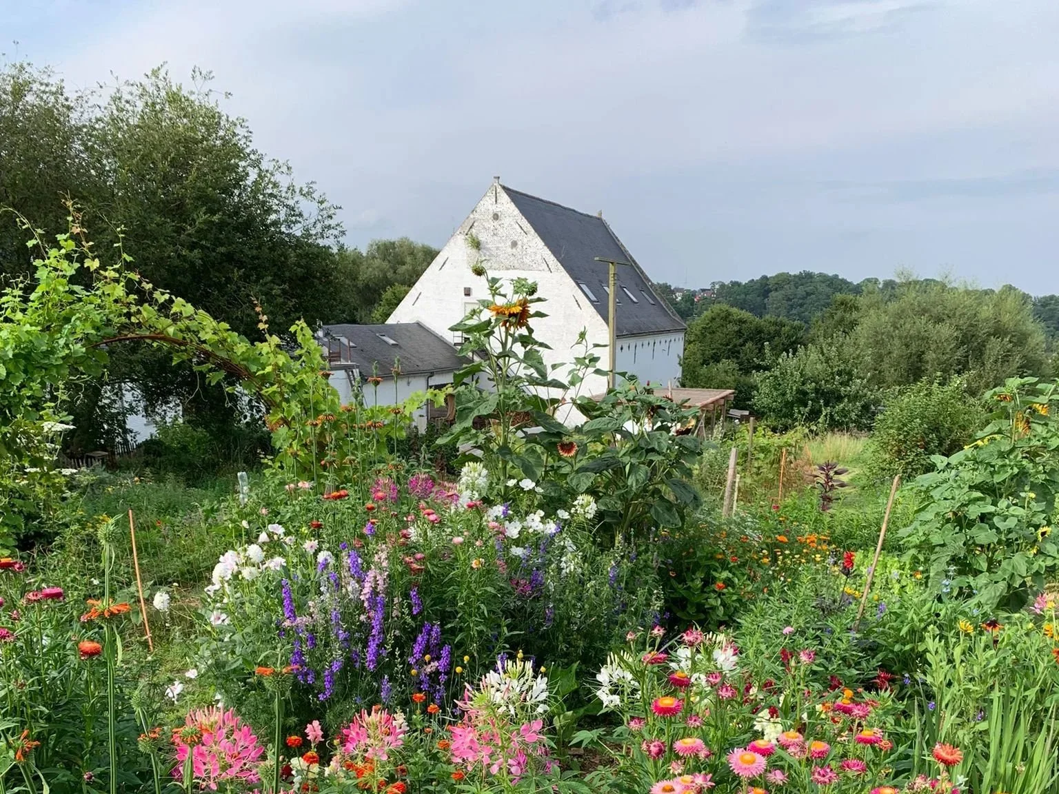 FLEURS et ferme.jpg