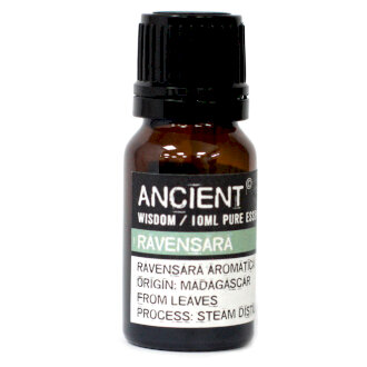 10ml Ravensara Essential Oil