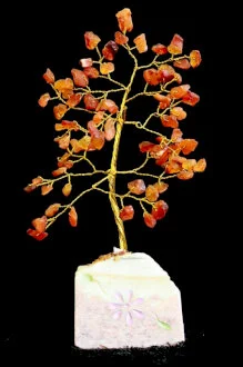 Carnelian Tree - 80 Stone