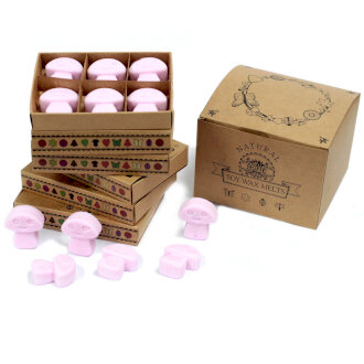 Box of 6 Wax Melts - Ylang Ylang