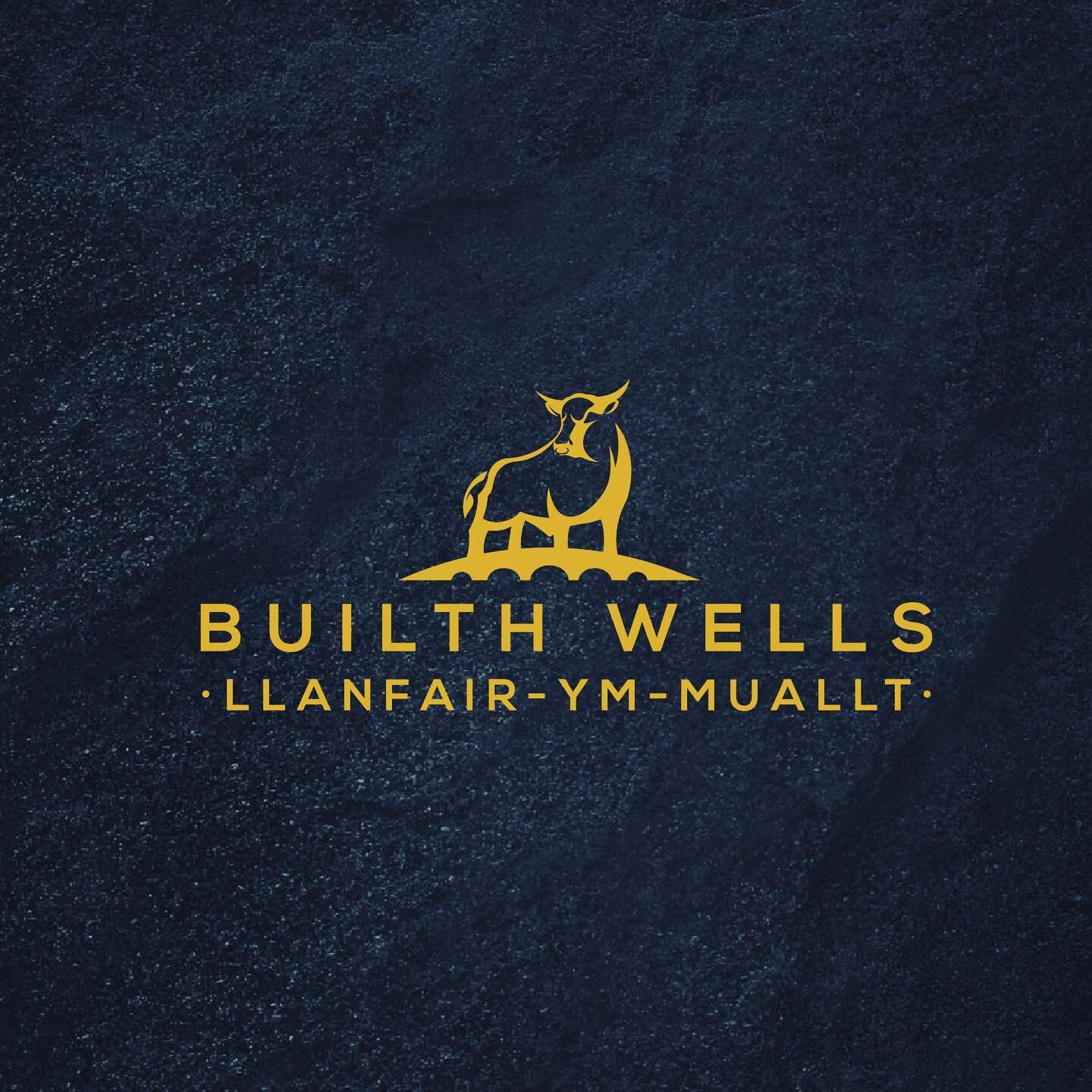 Introducing the new brand of Builth Wells! - Inspired by the white park bull, the White Park is a rare breed of ancient horned cattle primarily residing in Great Britain. 

The origins of the Builth bull.