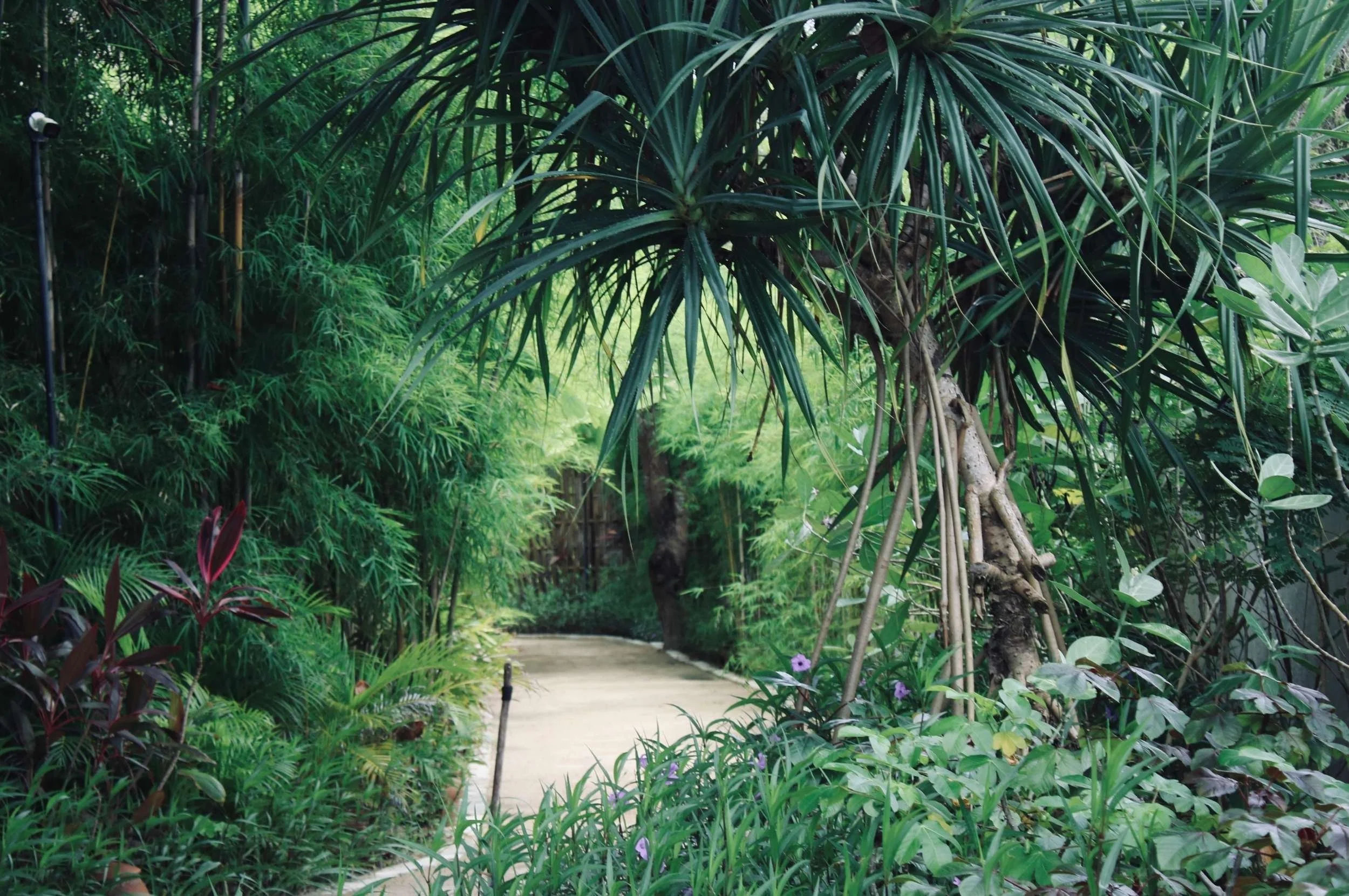 Lombok Island wellness experience