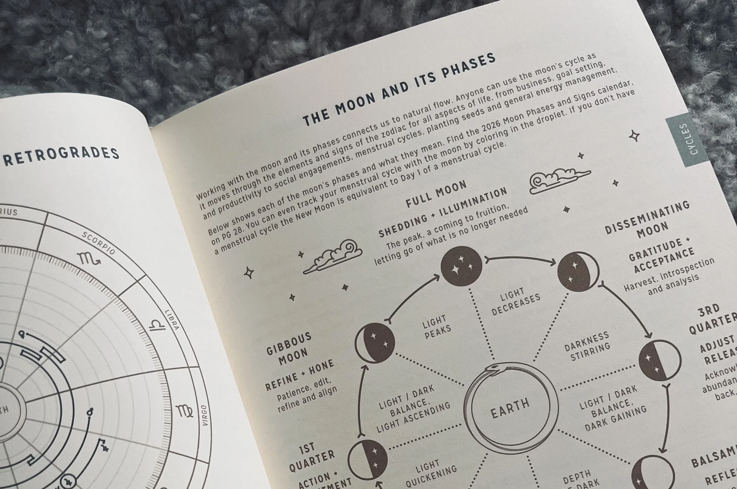 Vilken är din månfas?