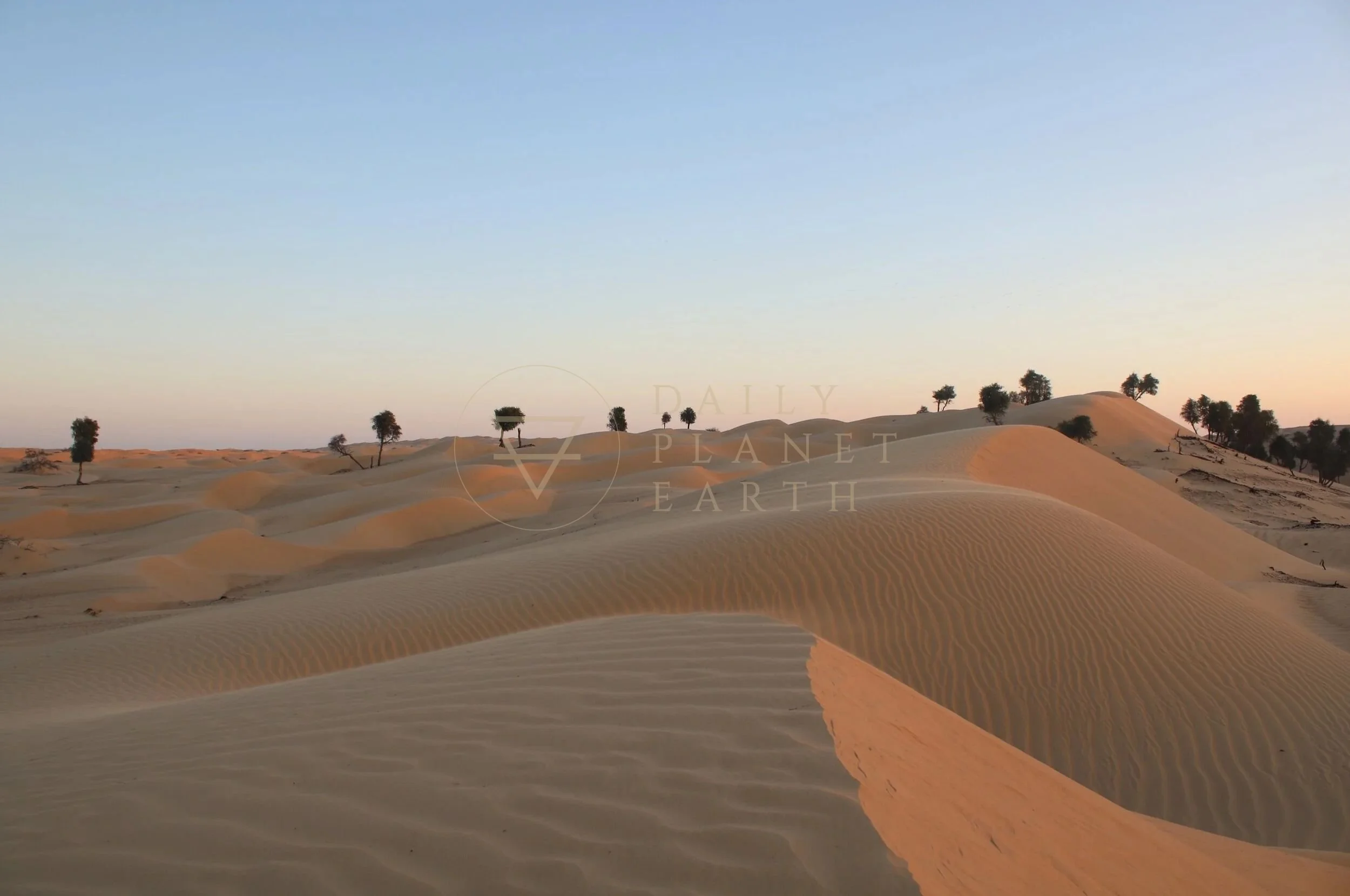 Oman Wahiba Desert
