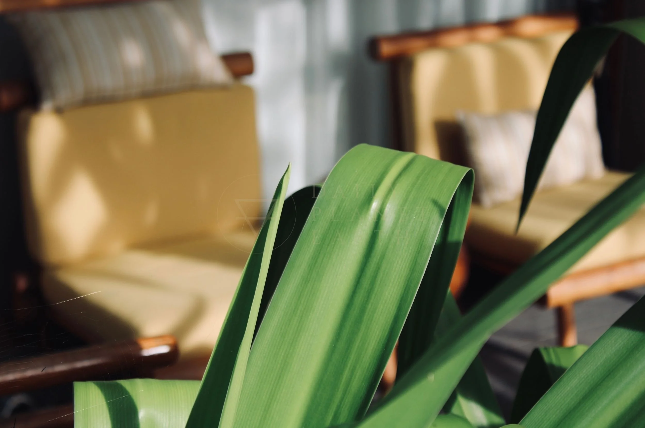 Lombok, Boni Beach luxury hotel