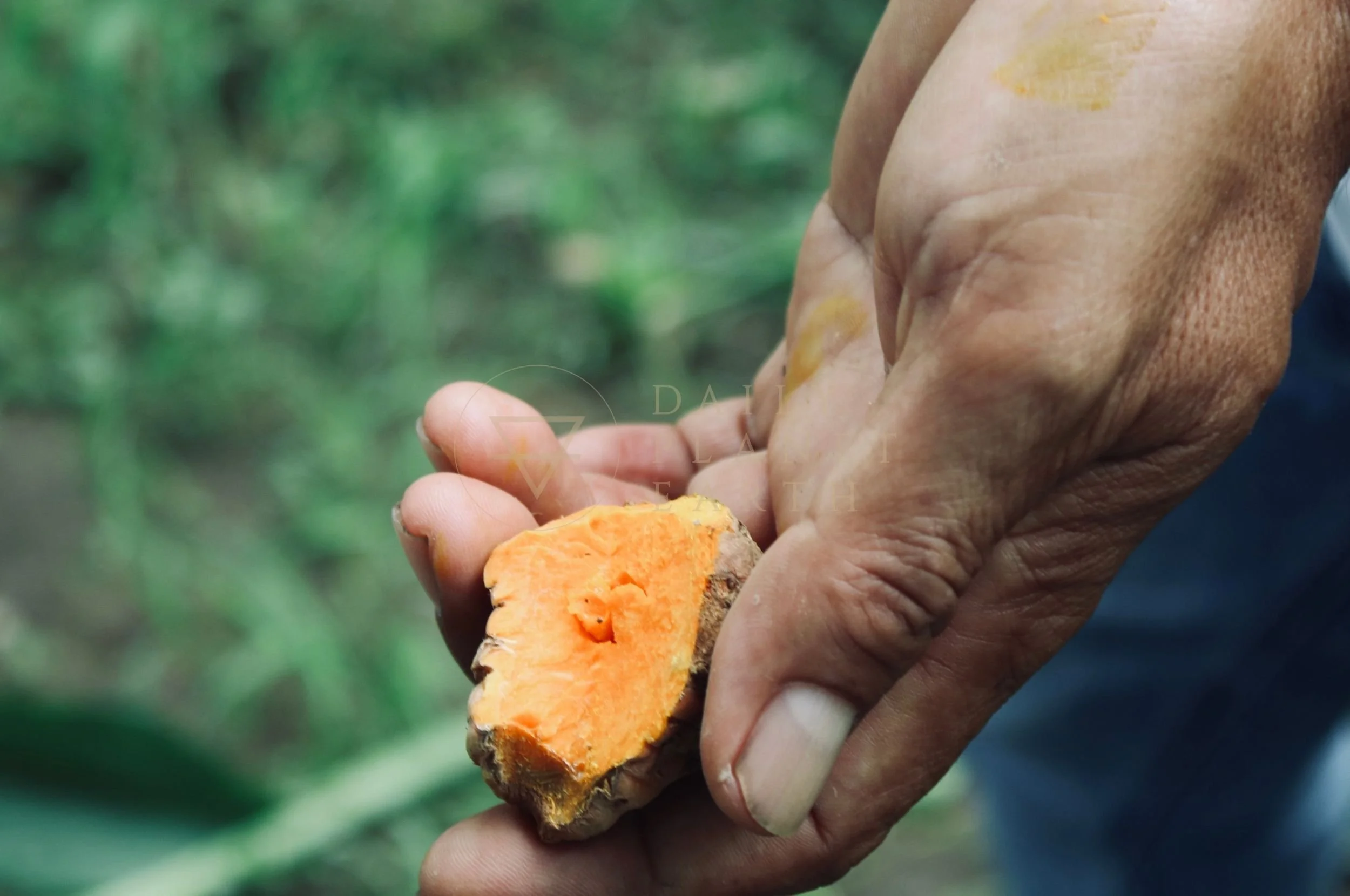 Nadis Herbal, Ubud, Bali