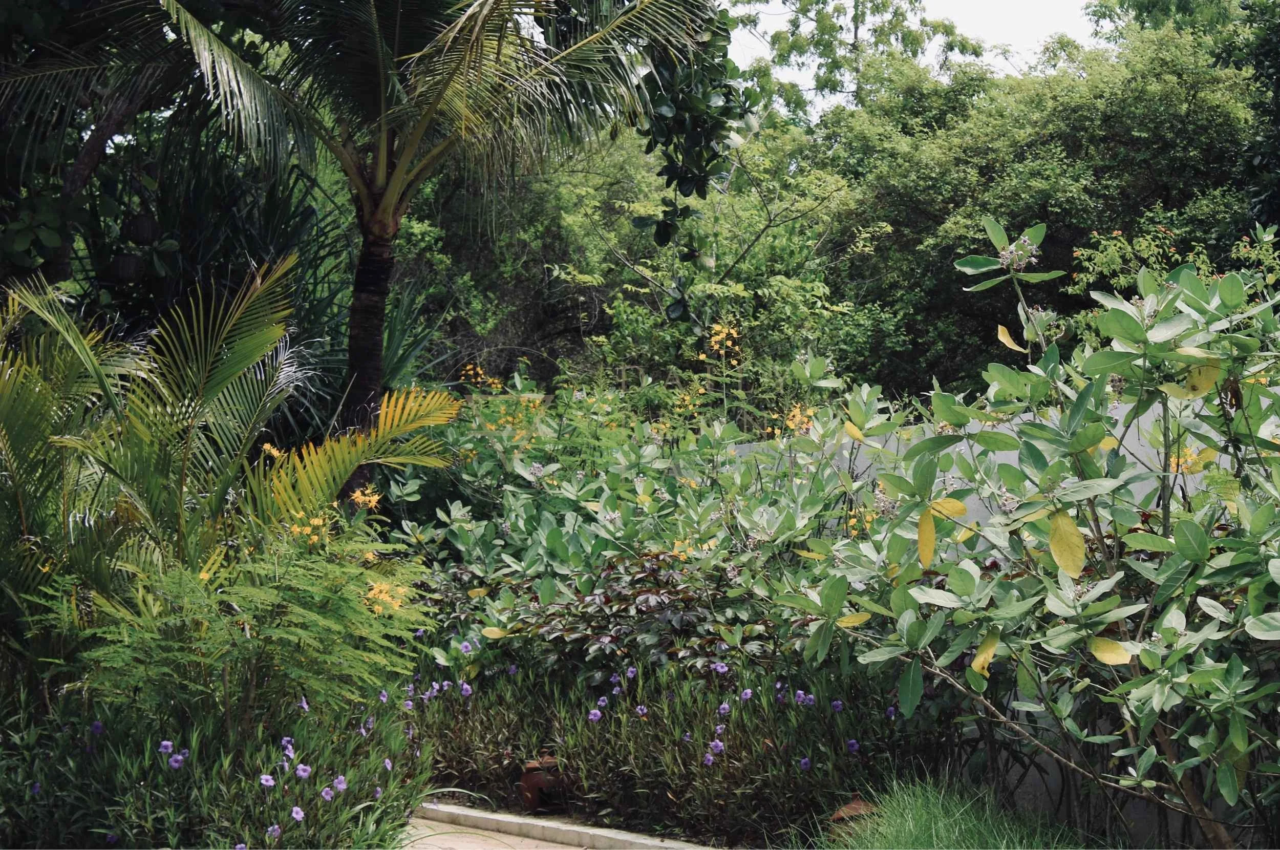 Lombok, Kuara Lombok Luxury Resort