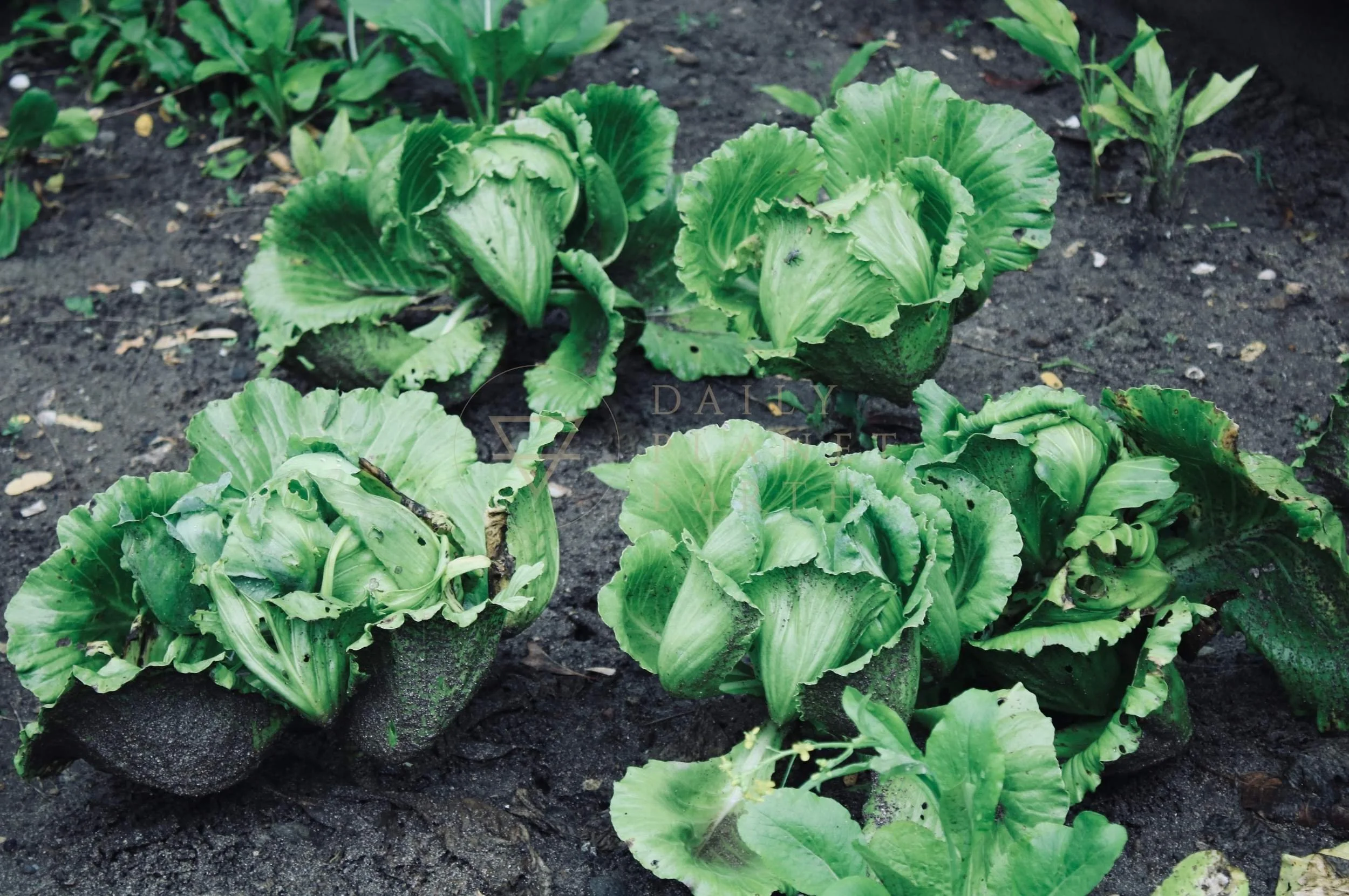 Lombok, Kuara Lombok Luxury Resort